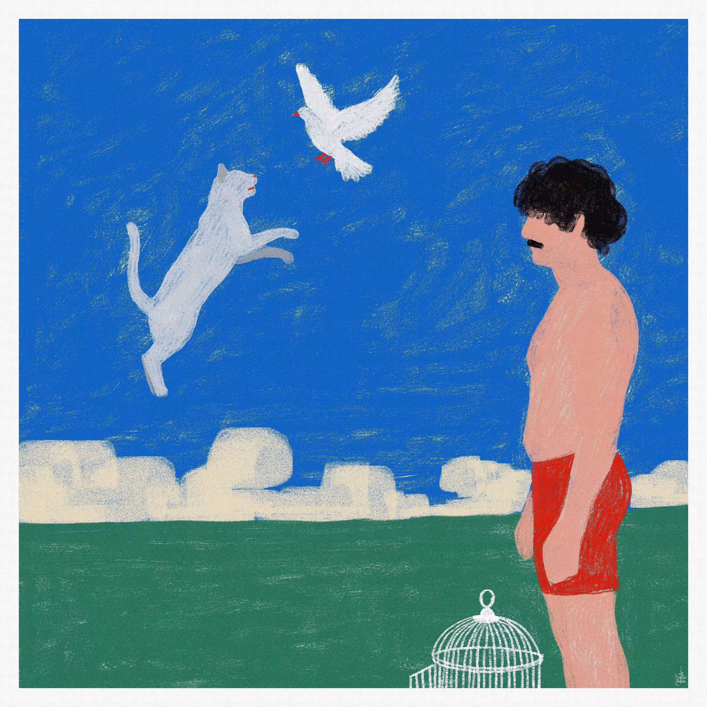 freedom