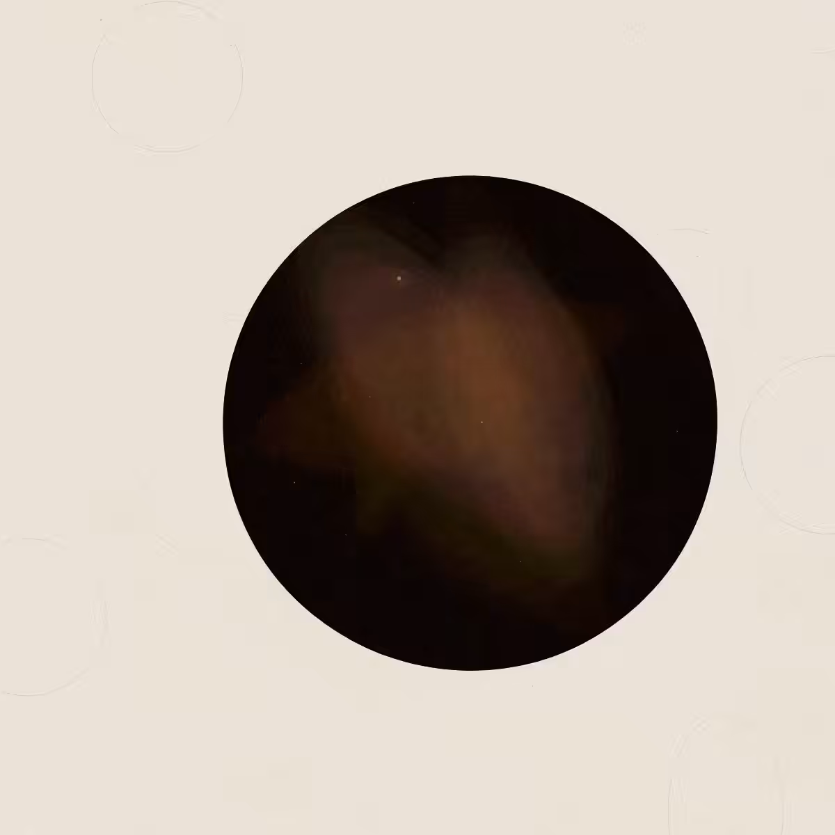 SYSTEMS #325