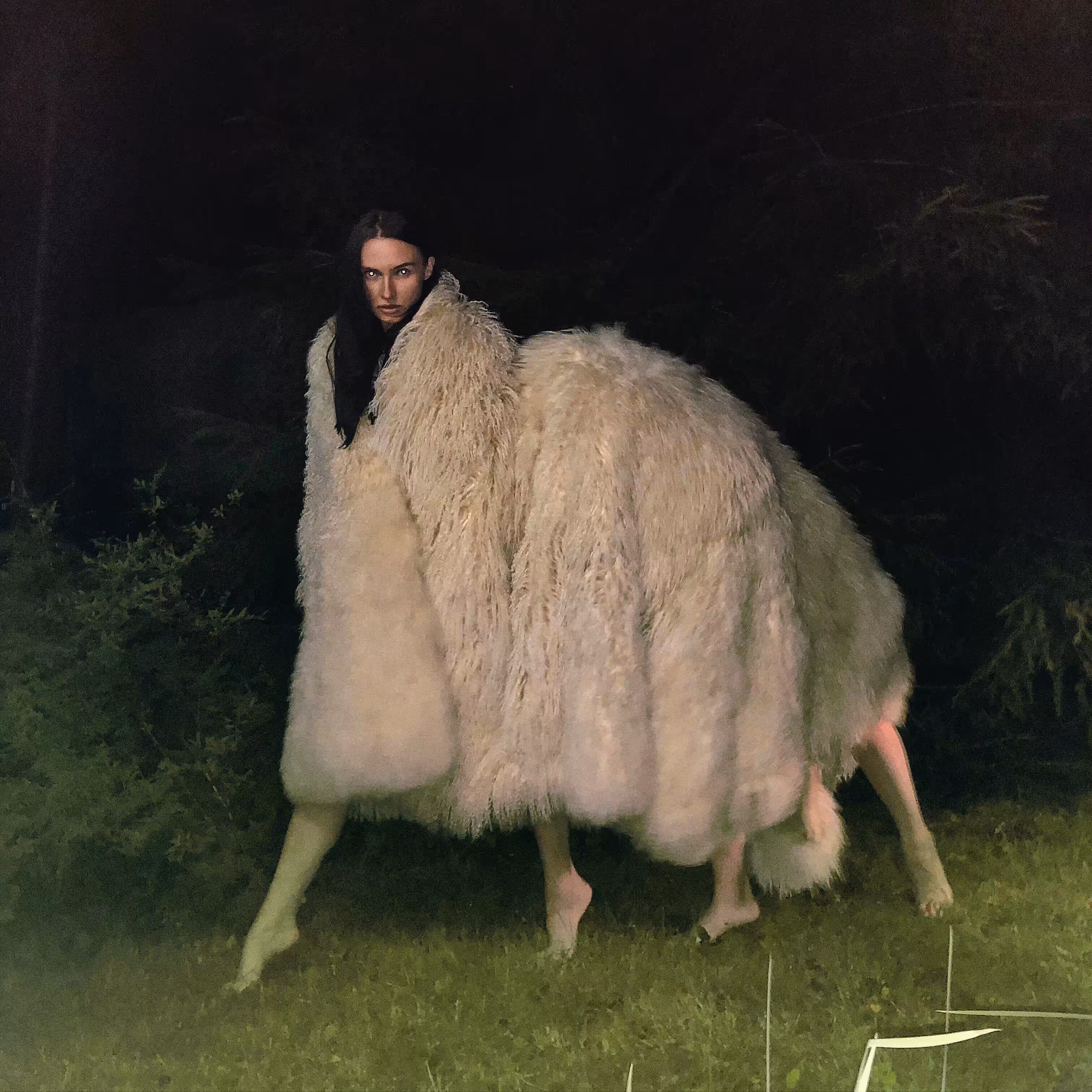 "Thirdleg" — how i meet a woman in the night forest