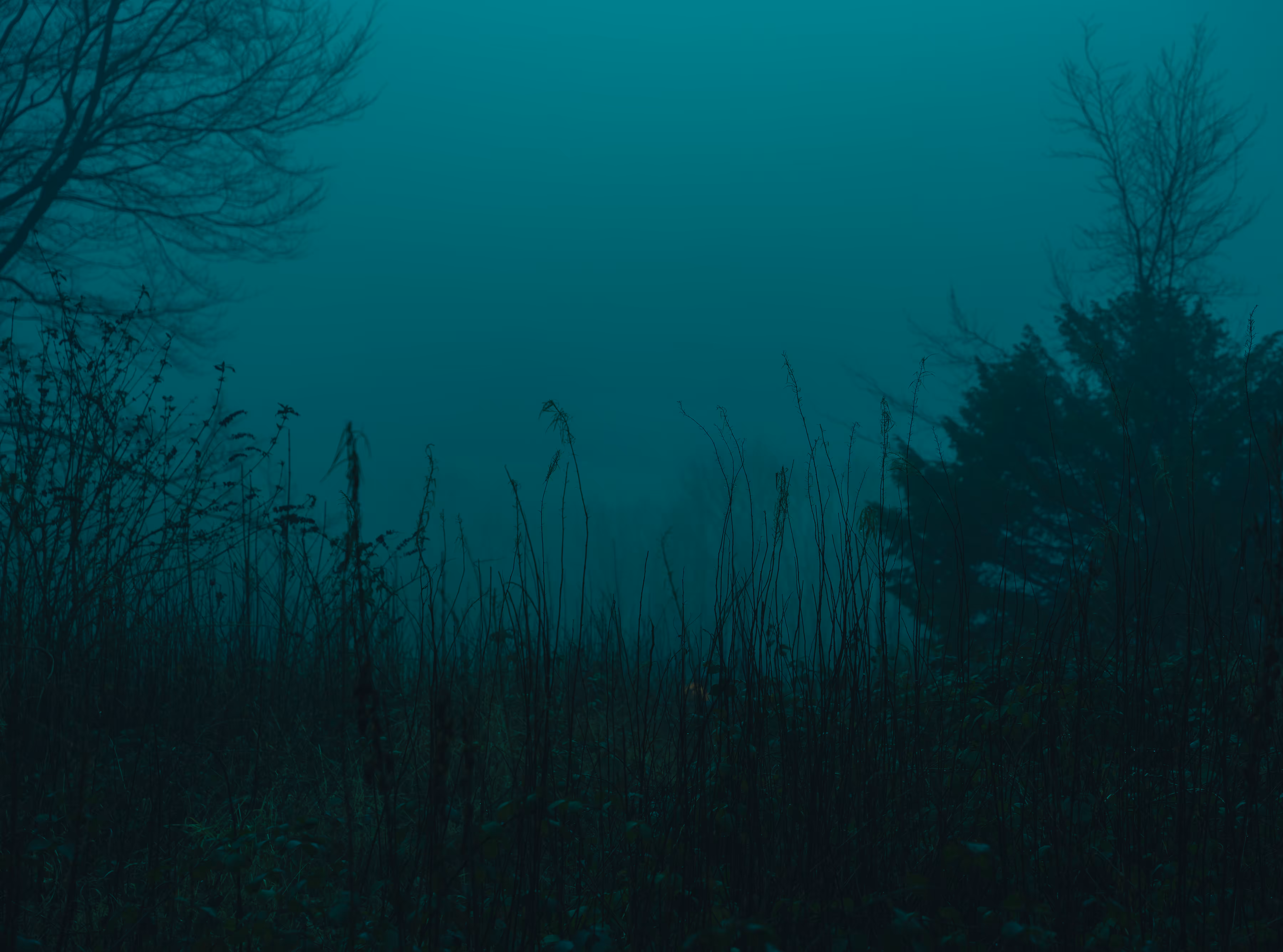 little fragments on nature