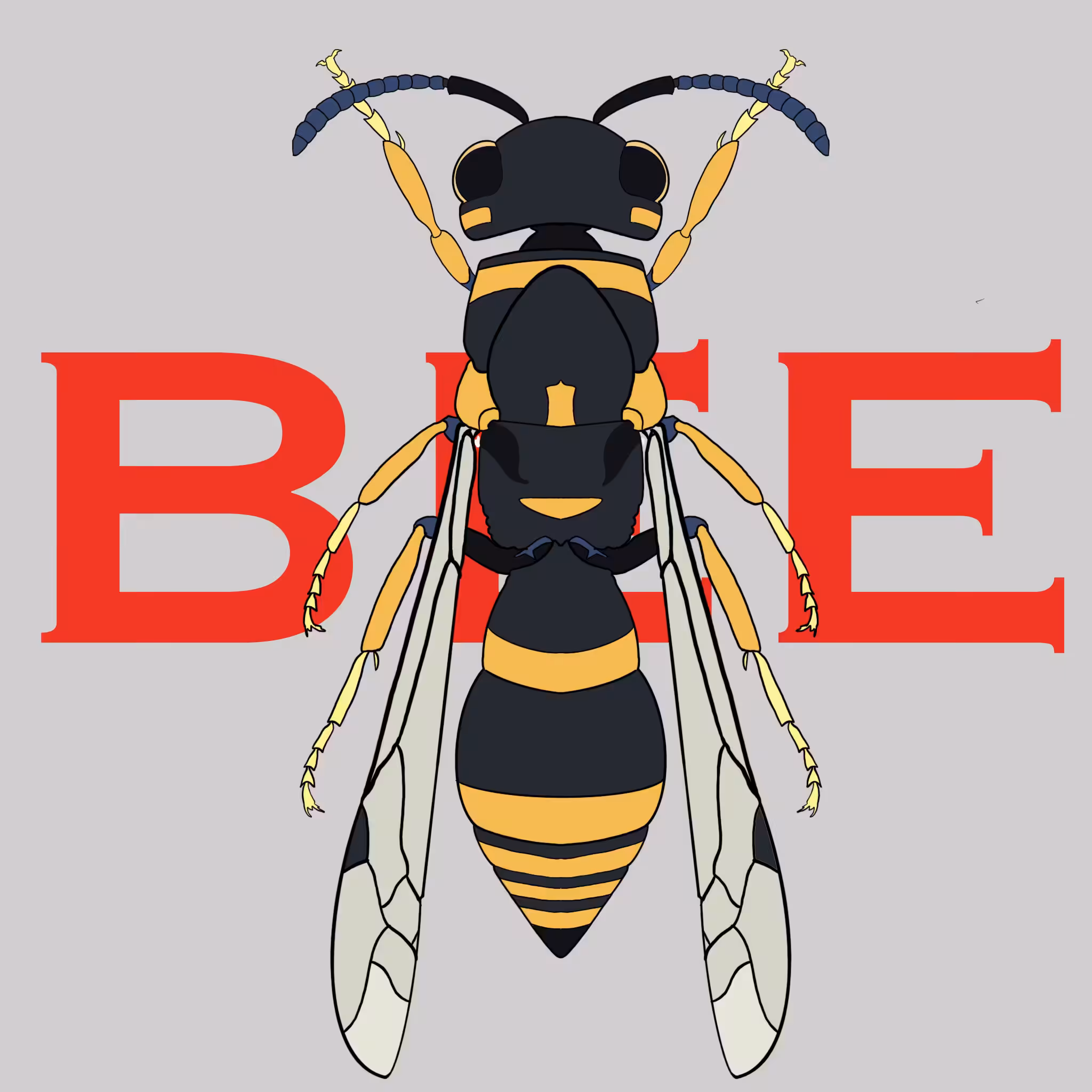 BEE