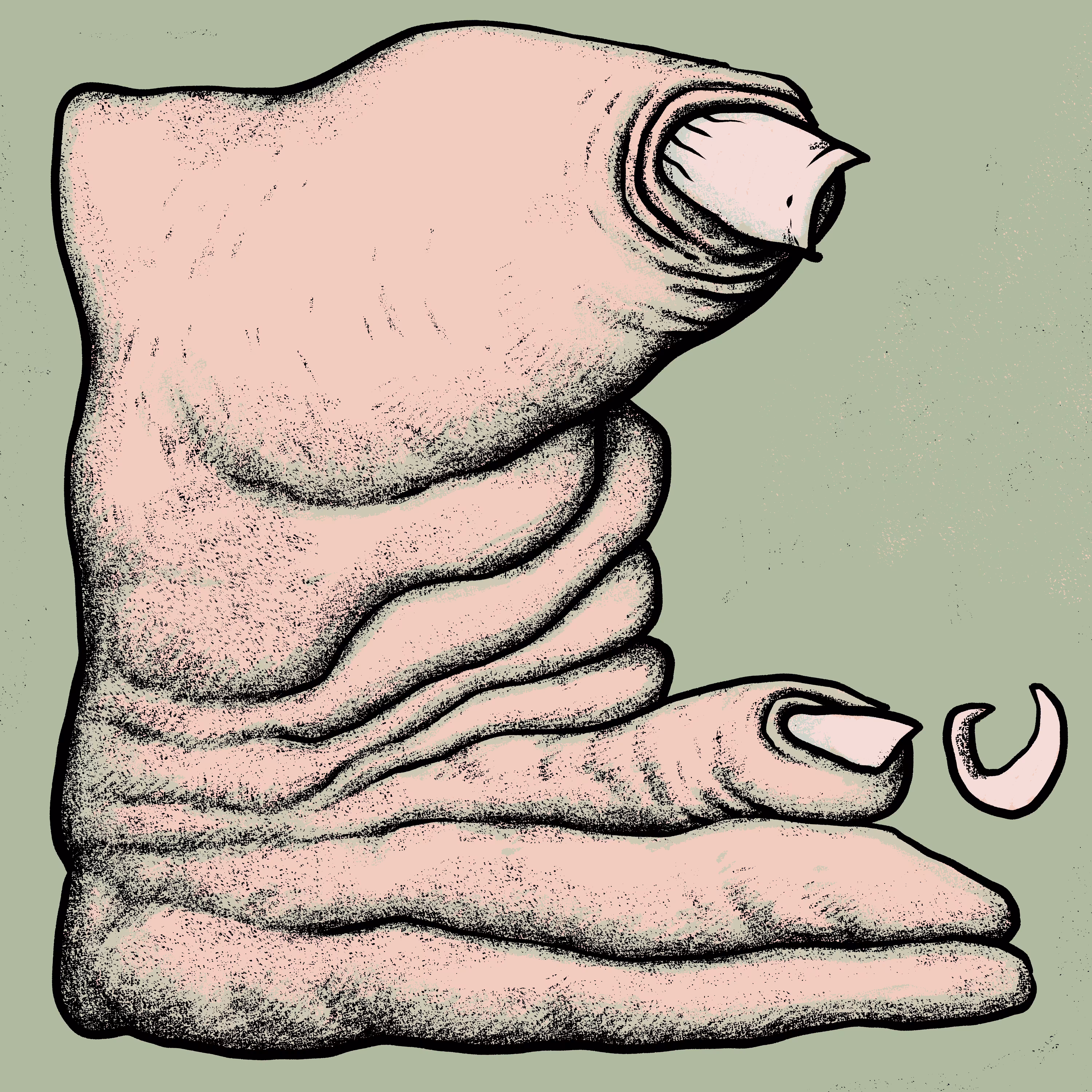 Sort of Hand