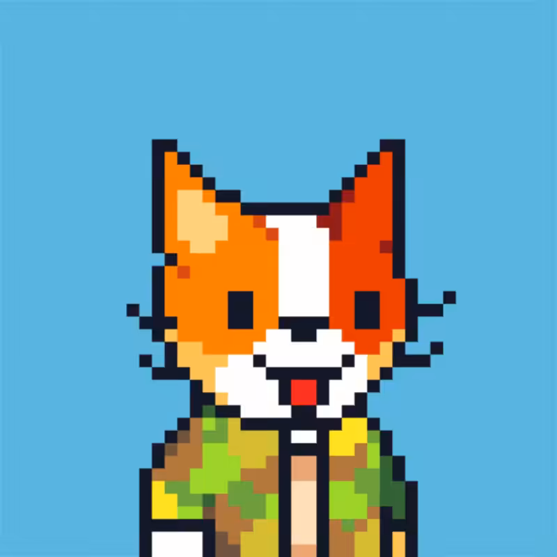 MEOWPIX #12