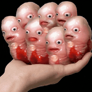 chuckorb