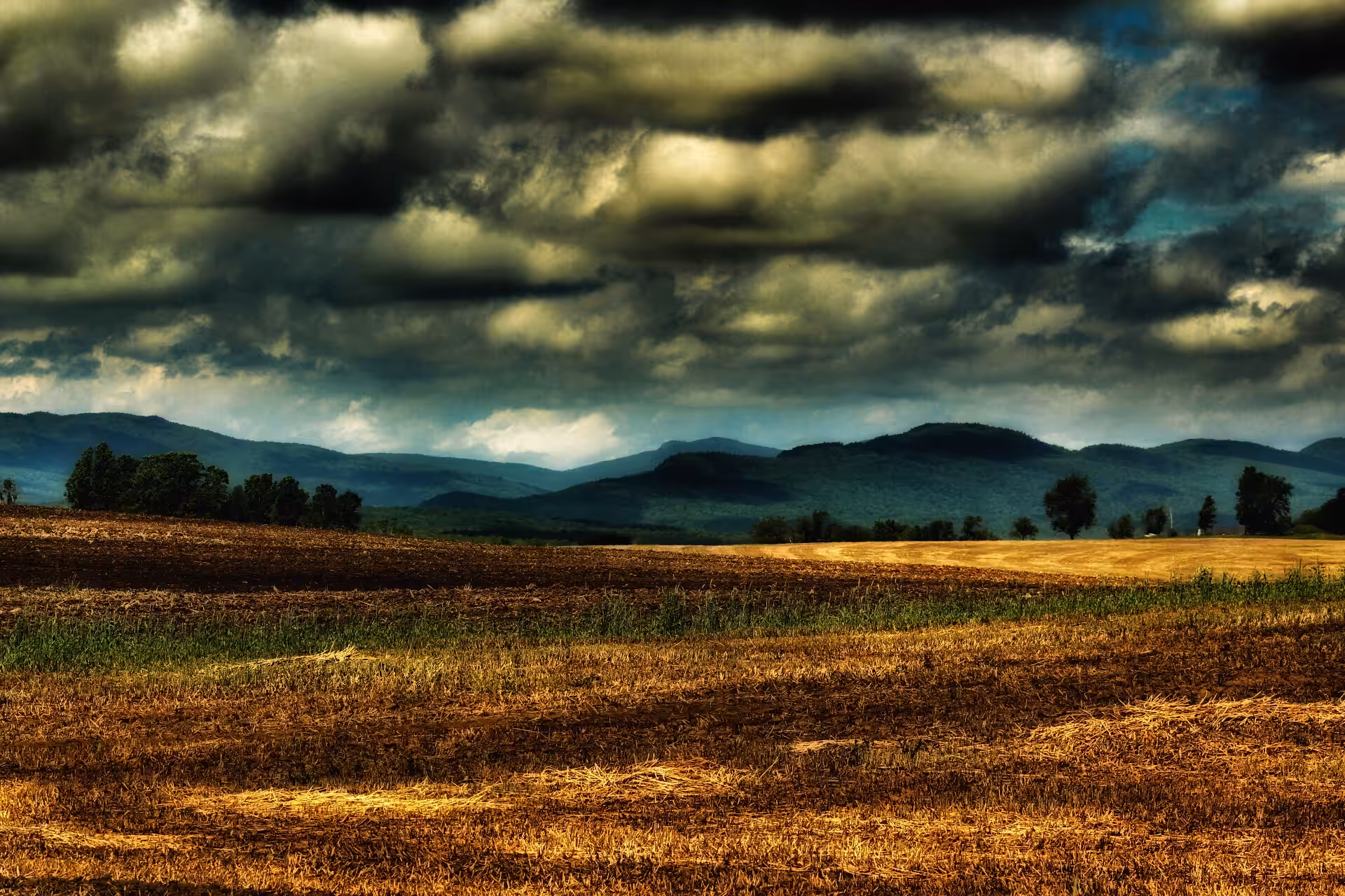 Field Of Digital Dreams