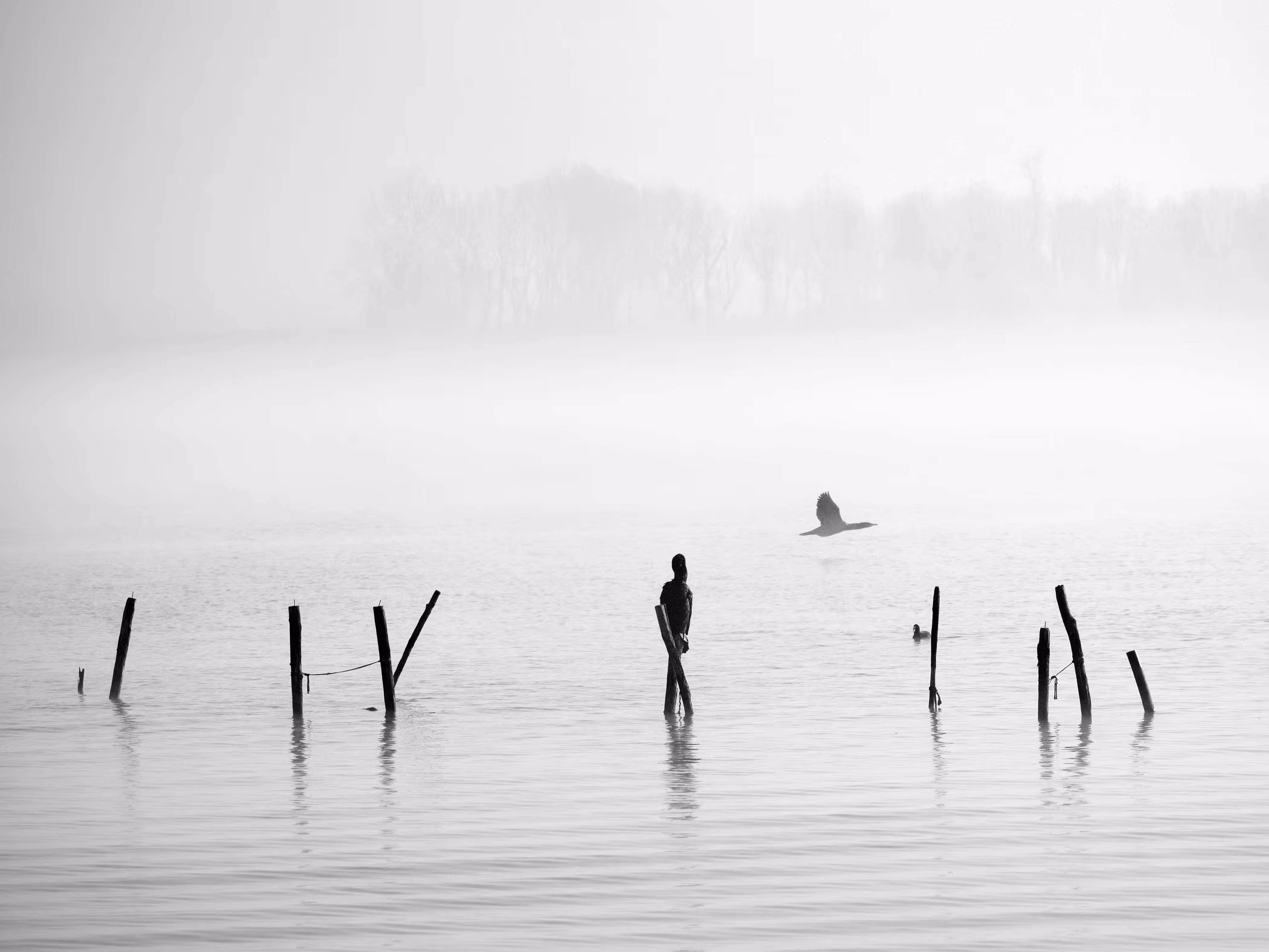 Tony Corocher - Editions: Minimalist #3