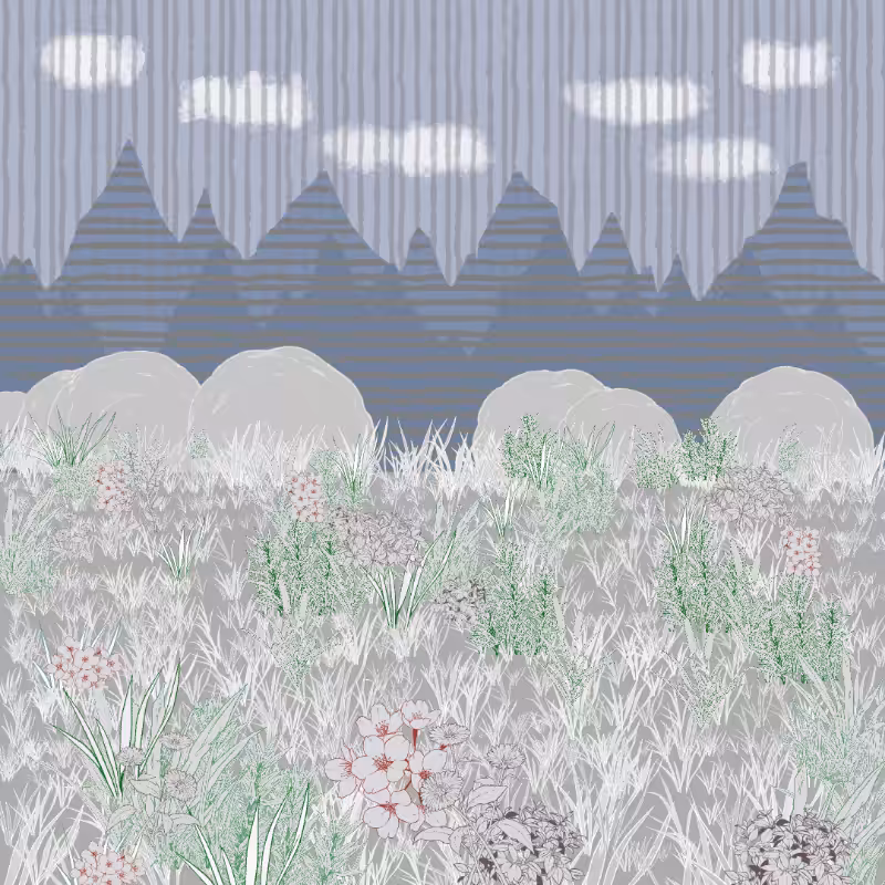 Mountain Meadows #12