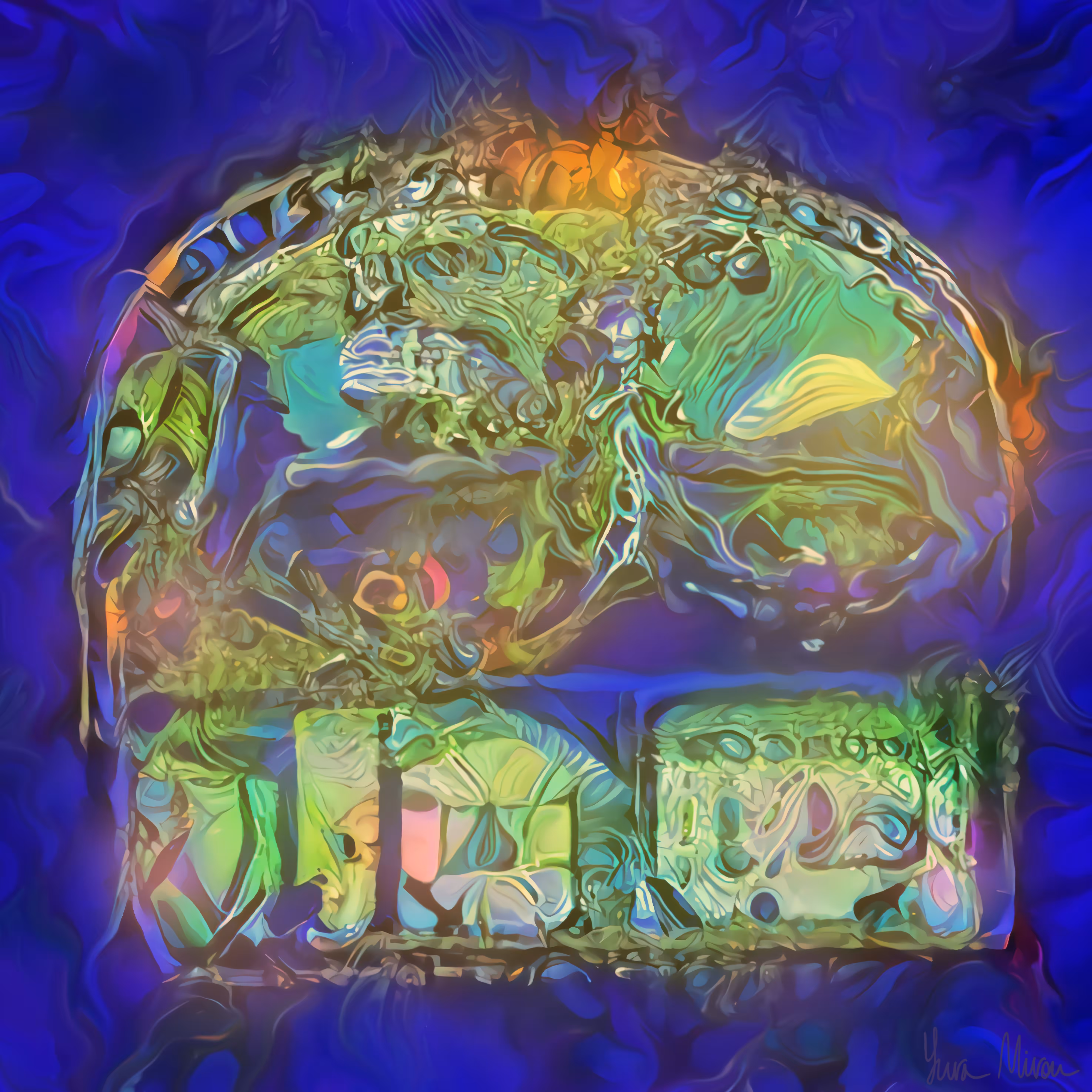 Lifescape 