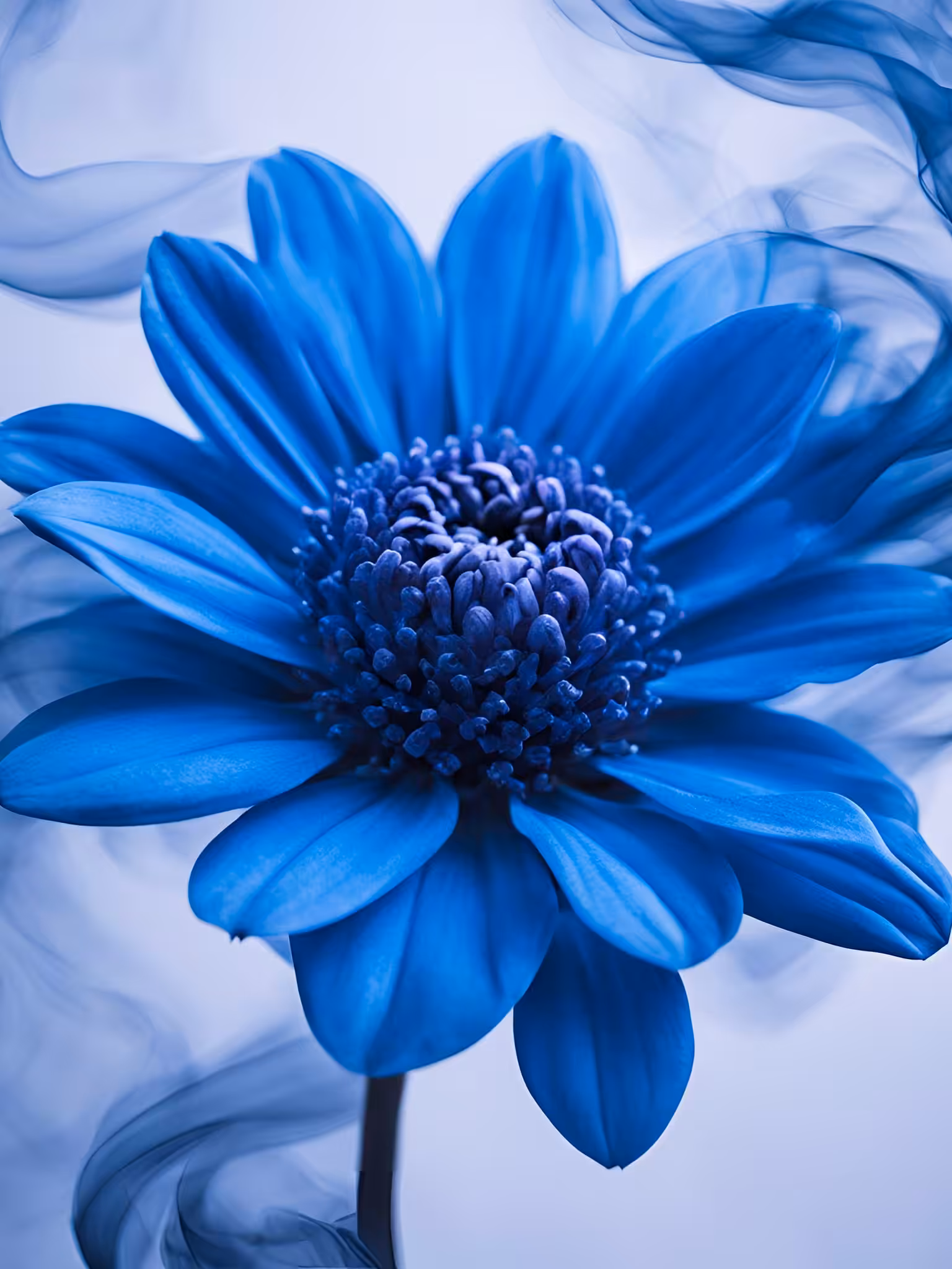 Misty Blue