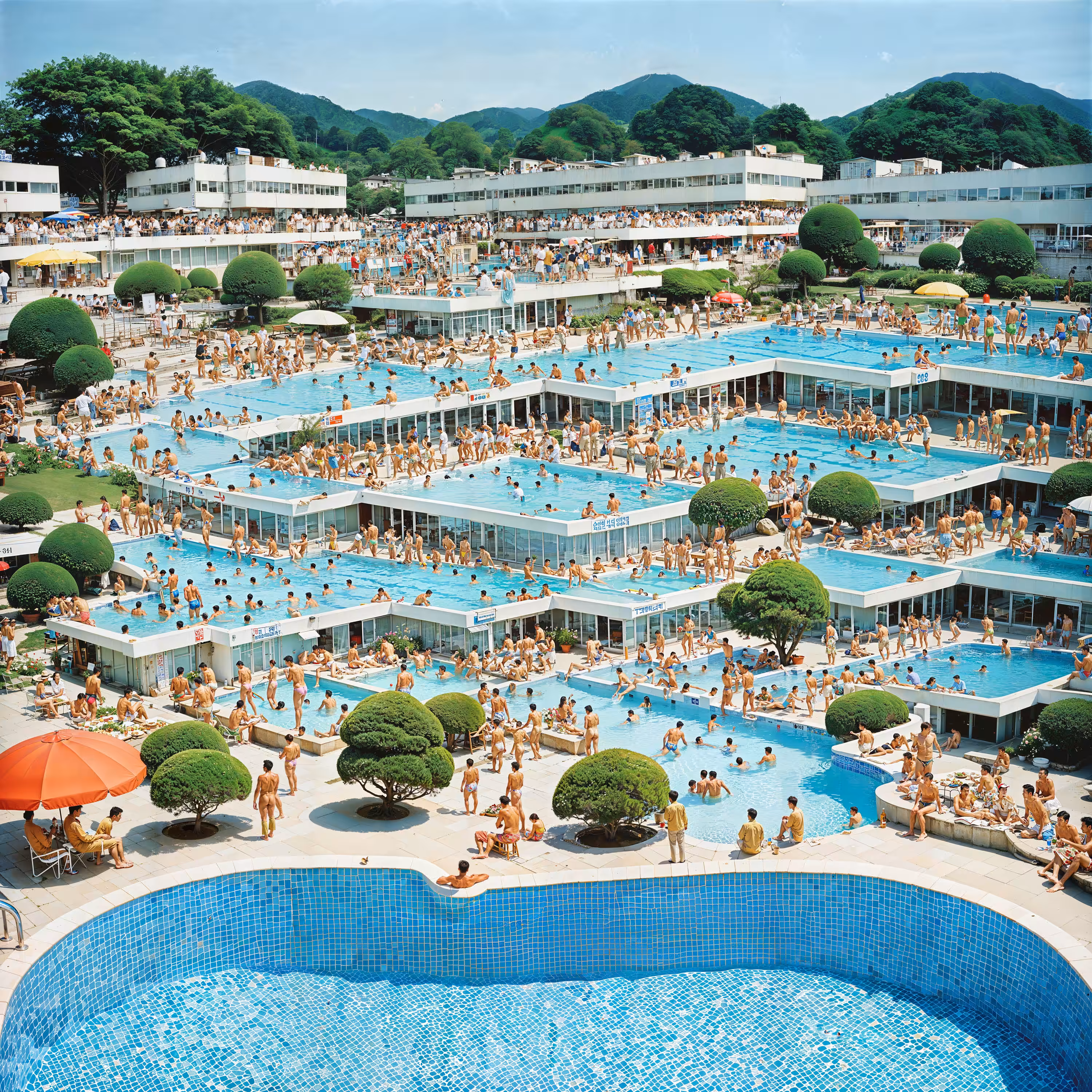Sheldrick - Pool