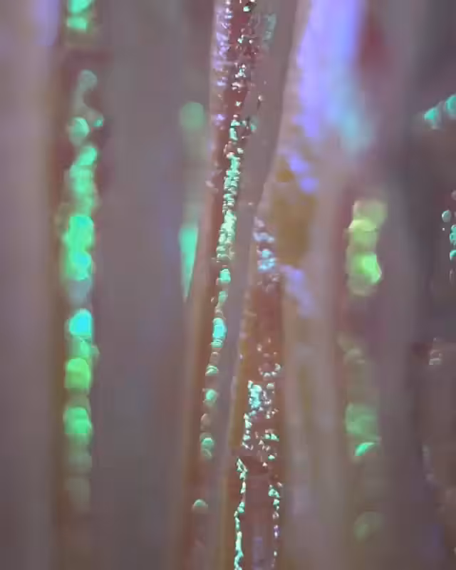 𝔽𝐚ᵇя𝕀ⓧ 🔮