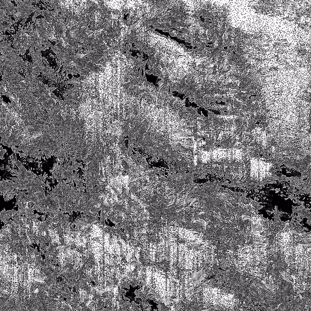 Noise #381 