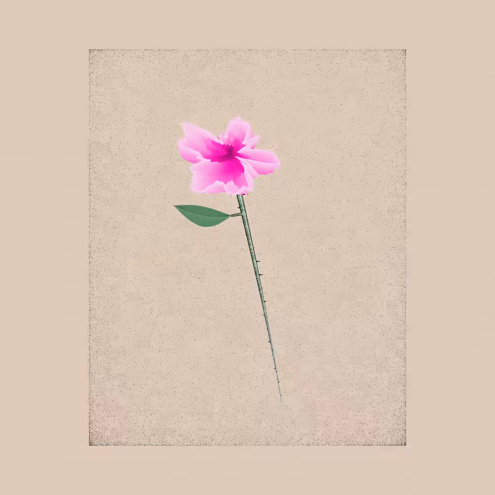 Magnolia #88