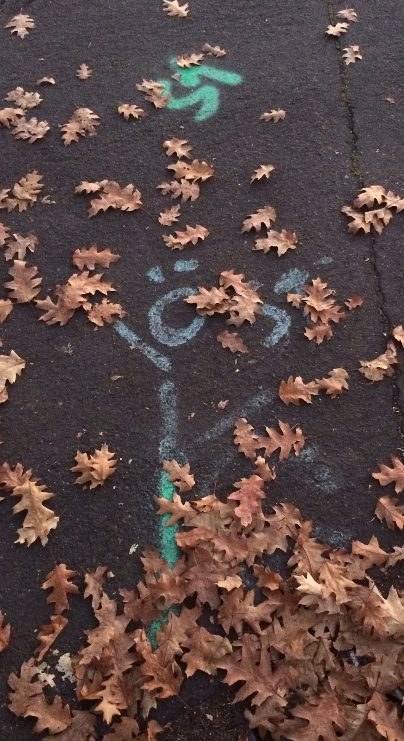 ― 59