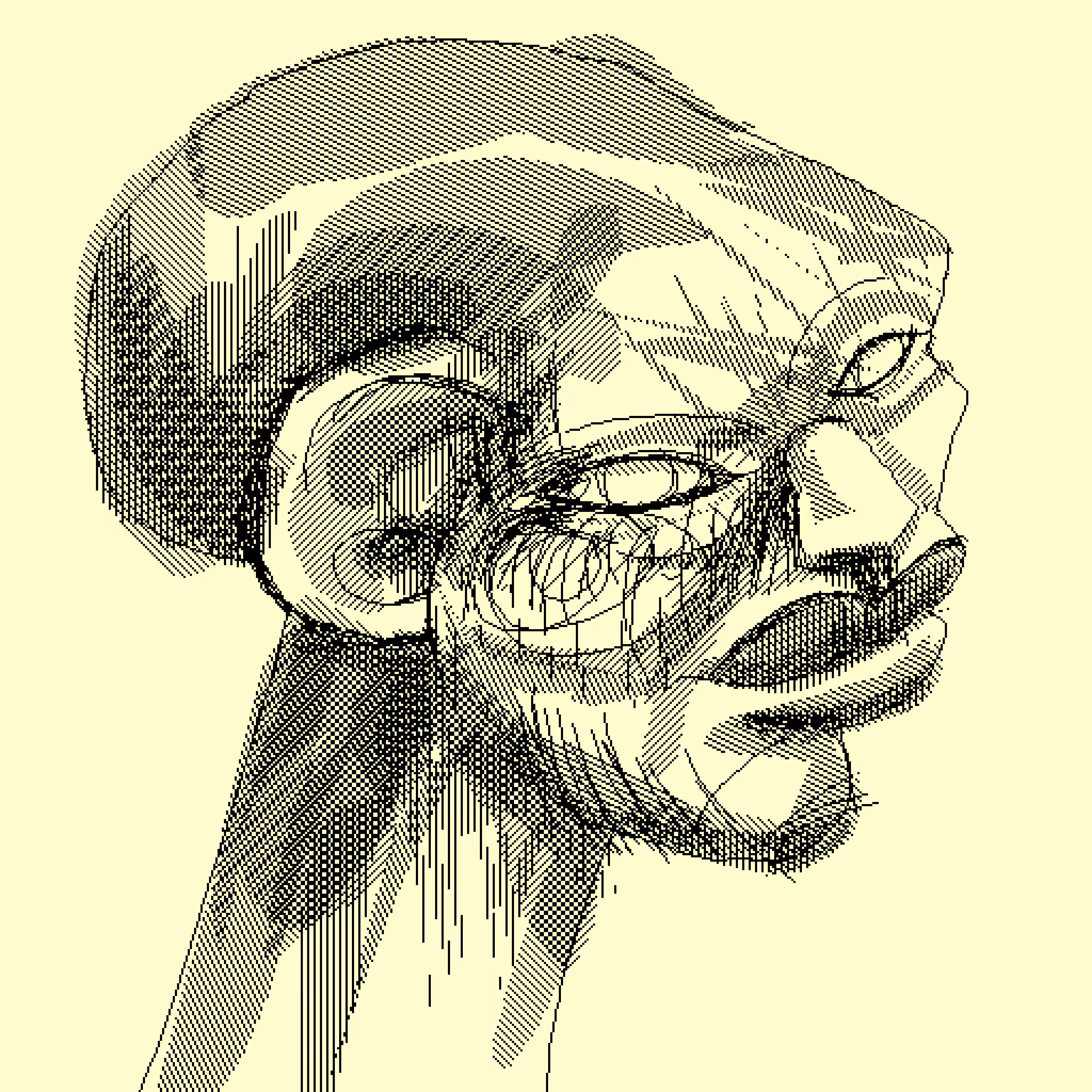 LongHead 