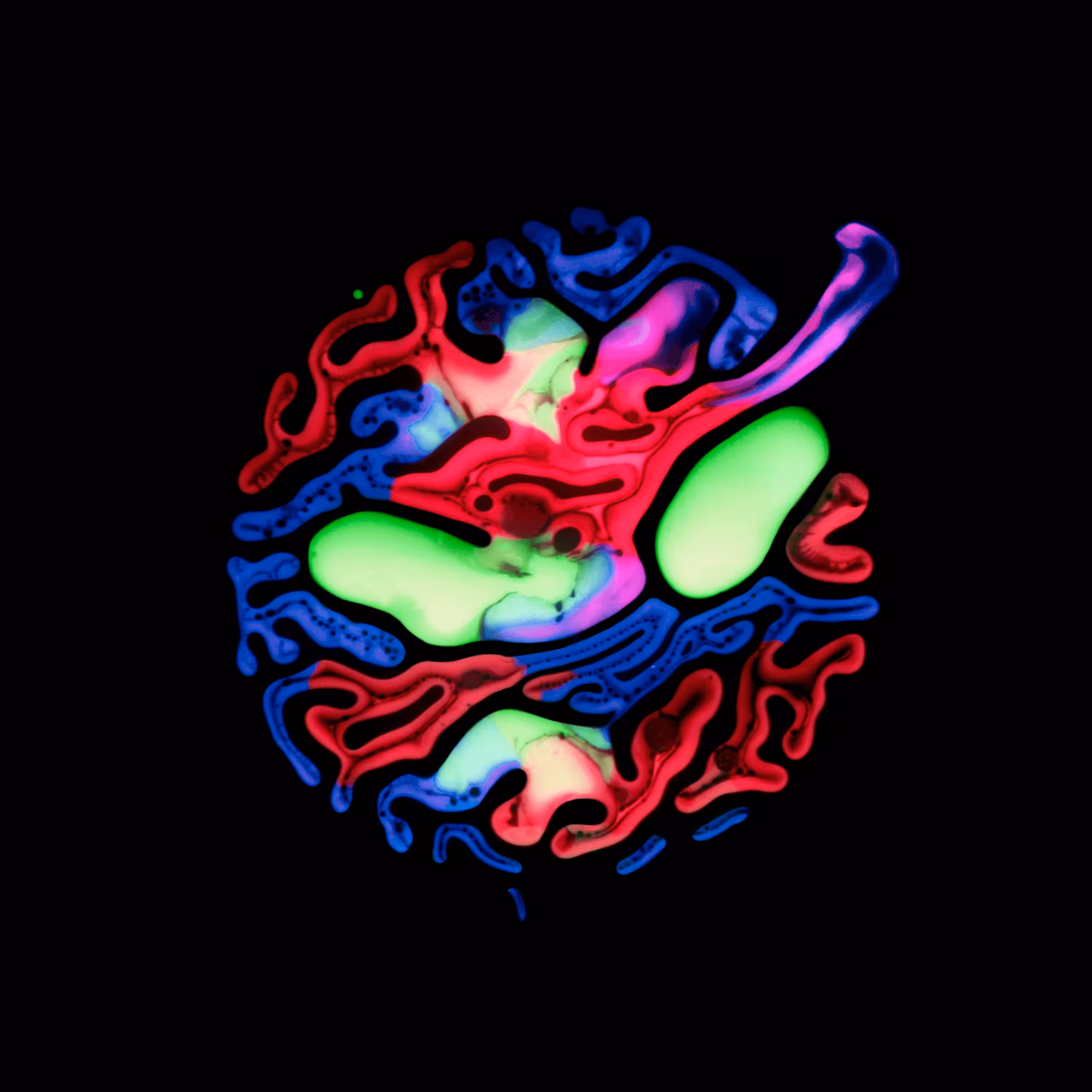 Haematopoiesis #142