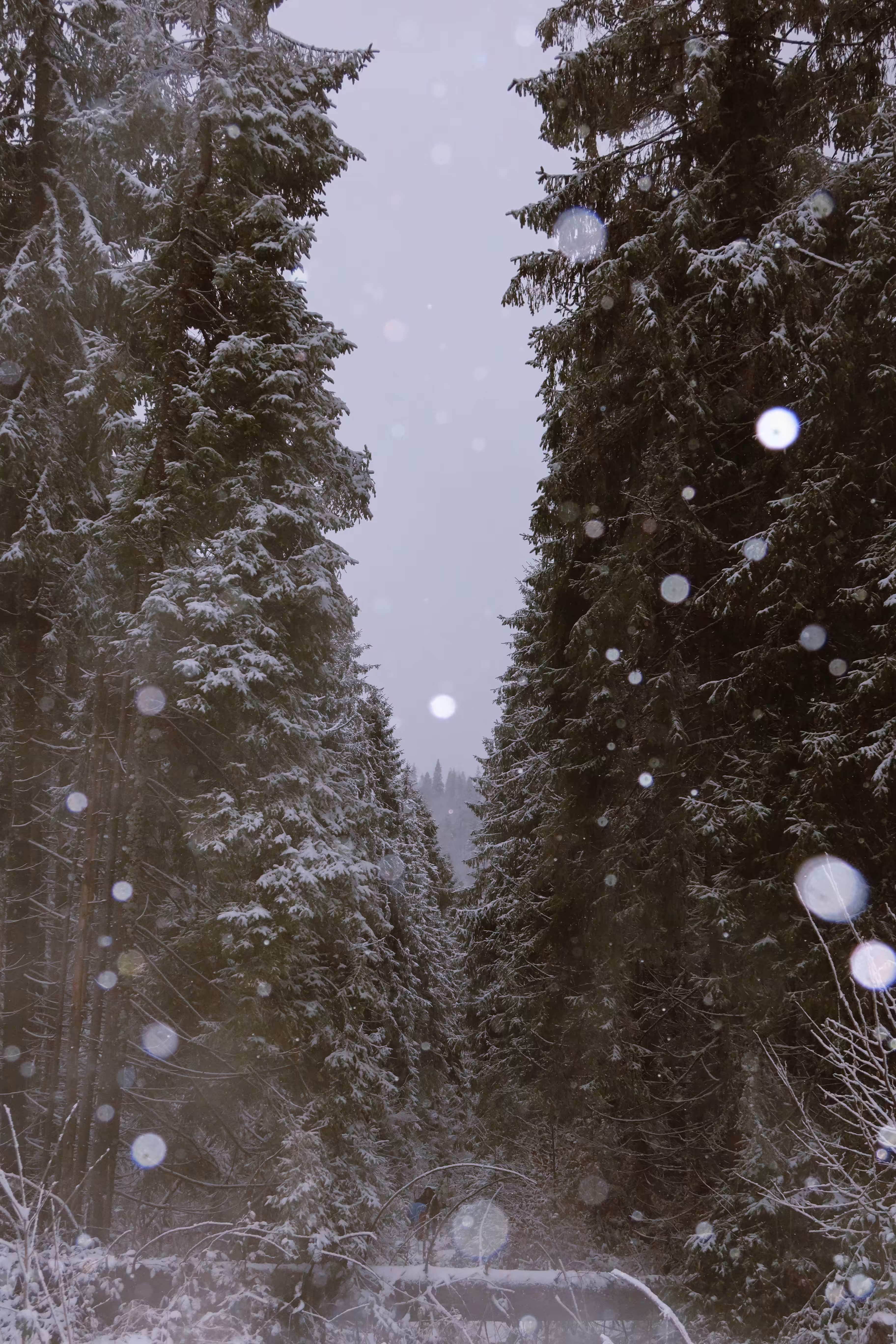 about: leave the road, take the trails