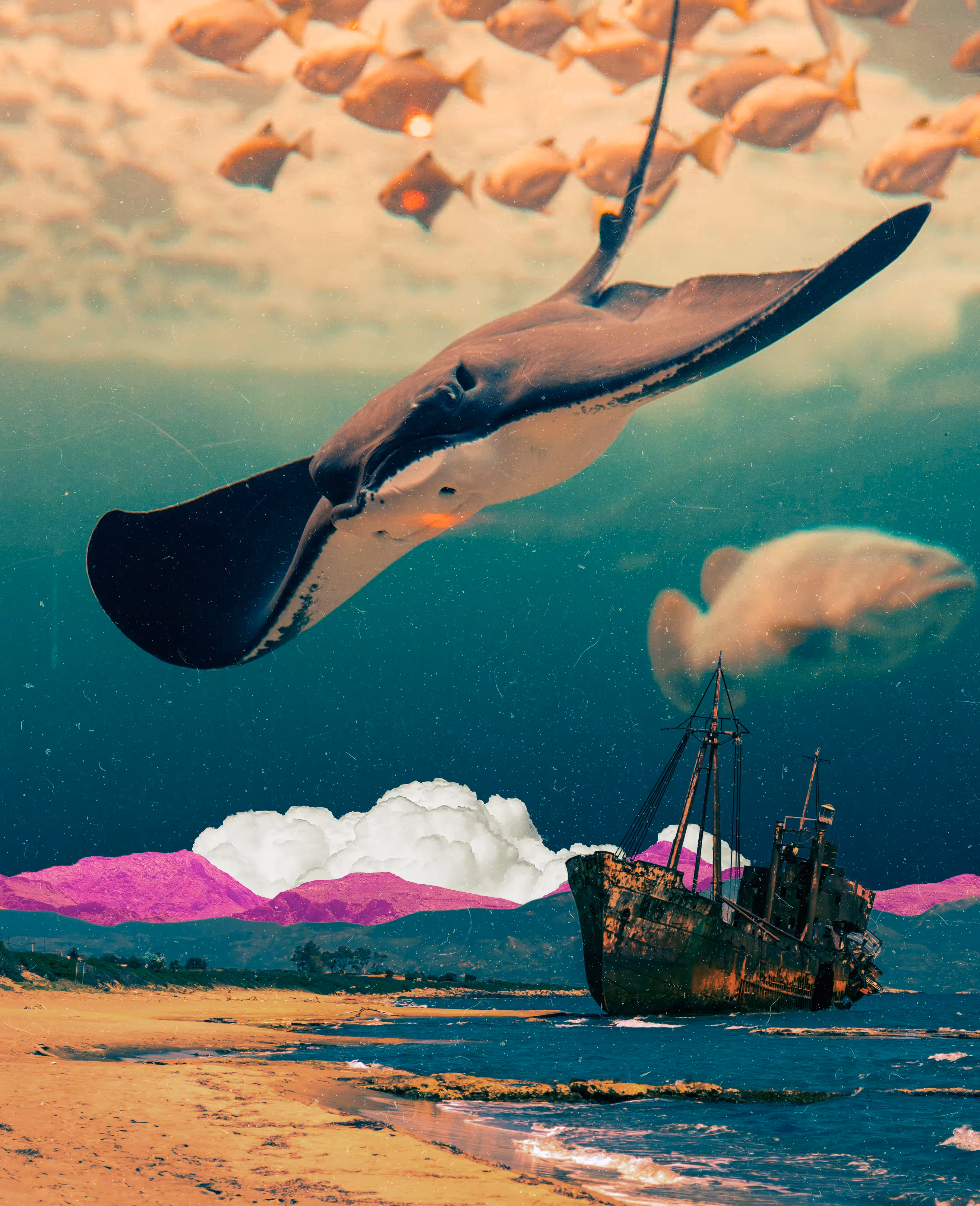 The Swell #12