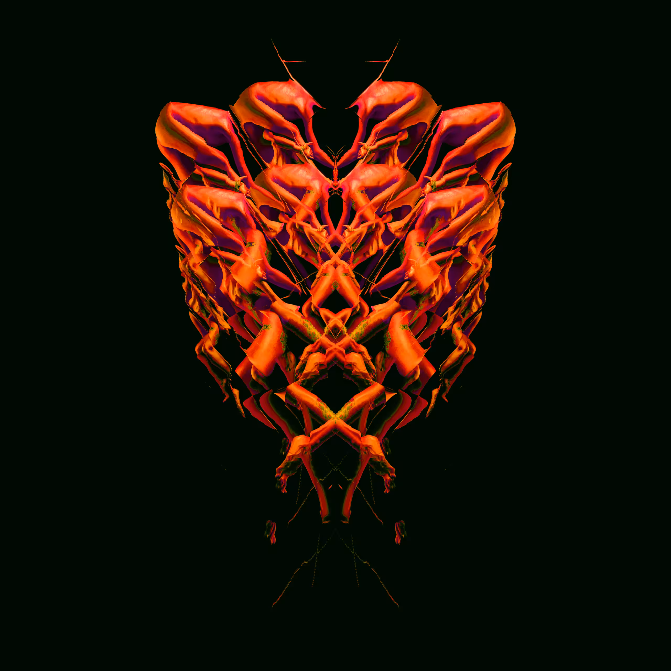 L'BANK 🐜Token 4  - The symmetry of the human body