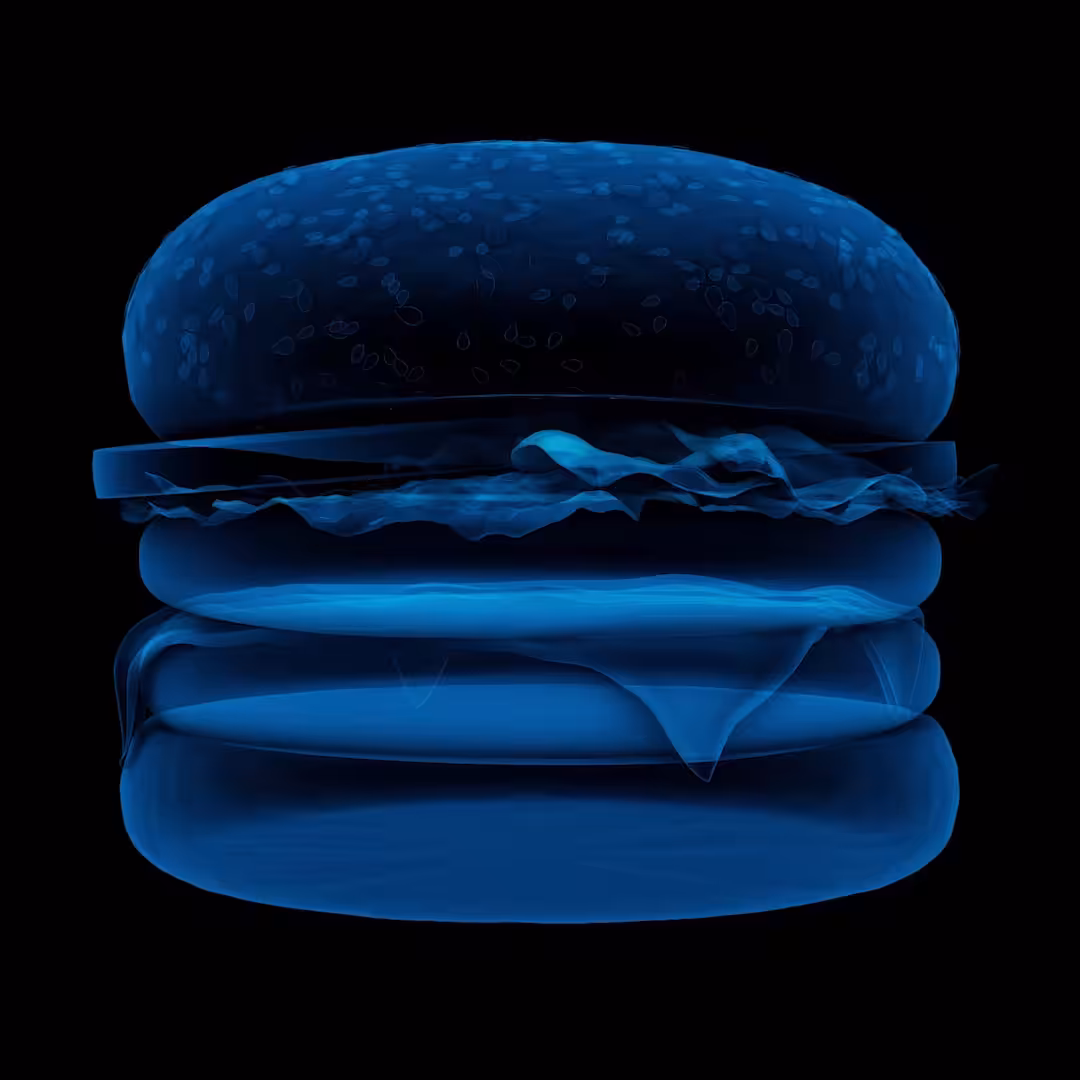 Digital Burger