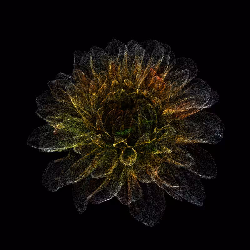 Dahlia Pinnata 30 #122