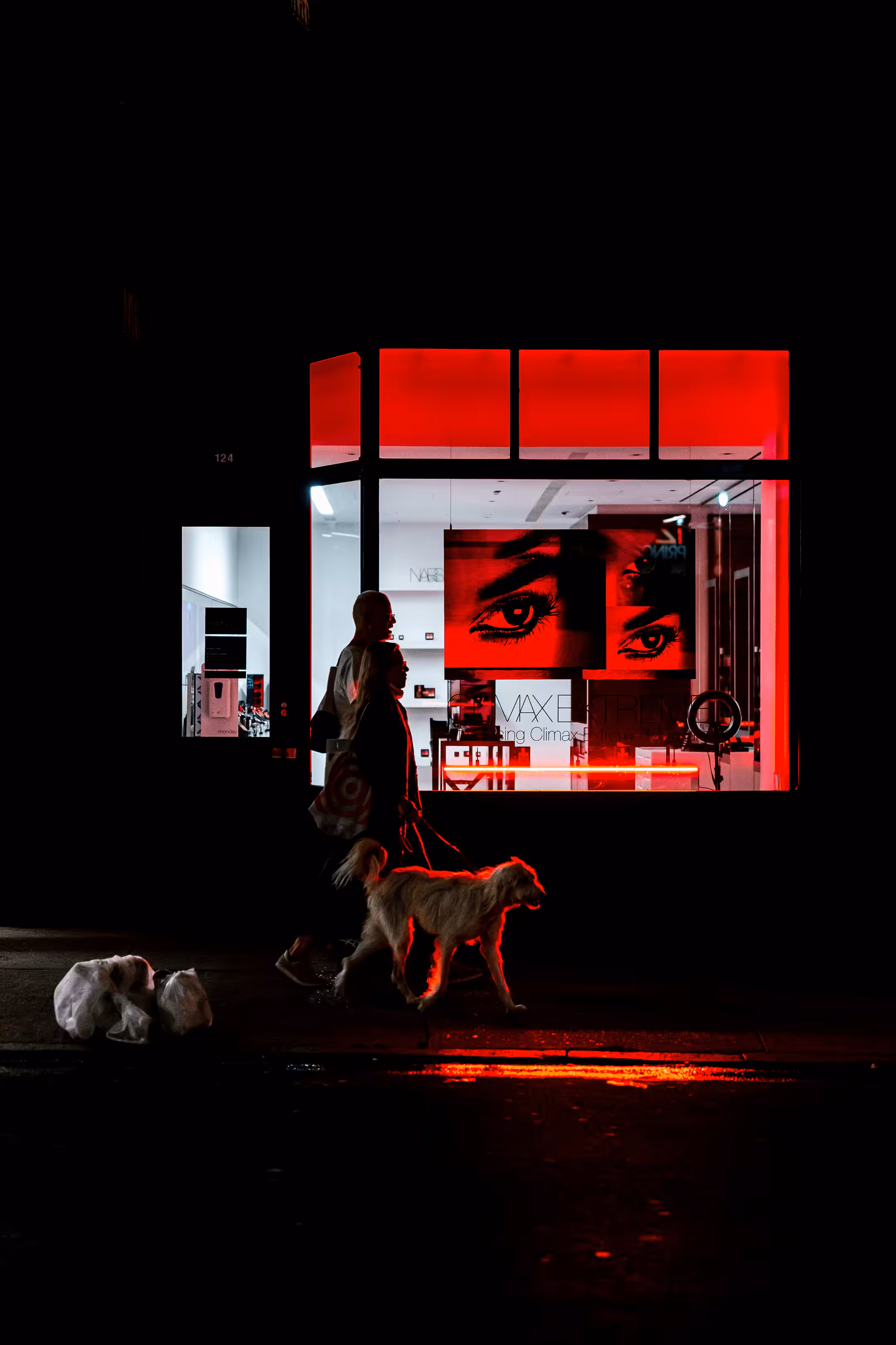 Cyber Streets #6. Hell Dog