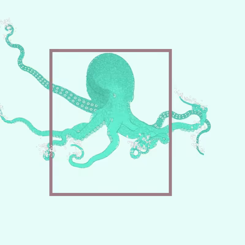 the generative octopuses #45