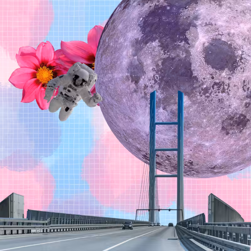 Pink Moon #7