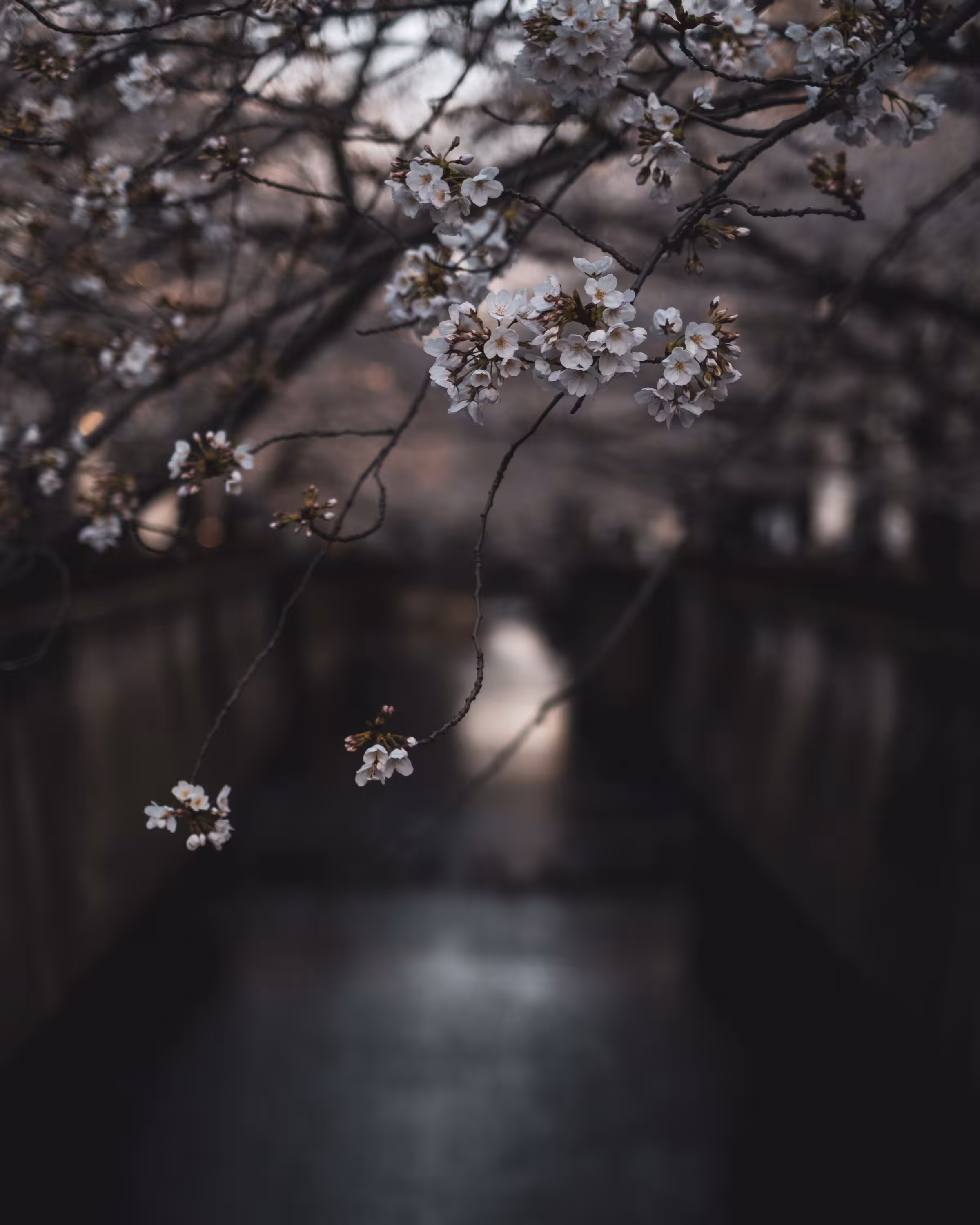 Meguro