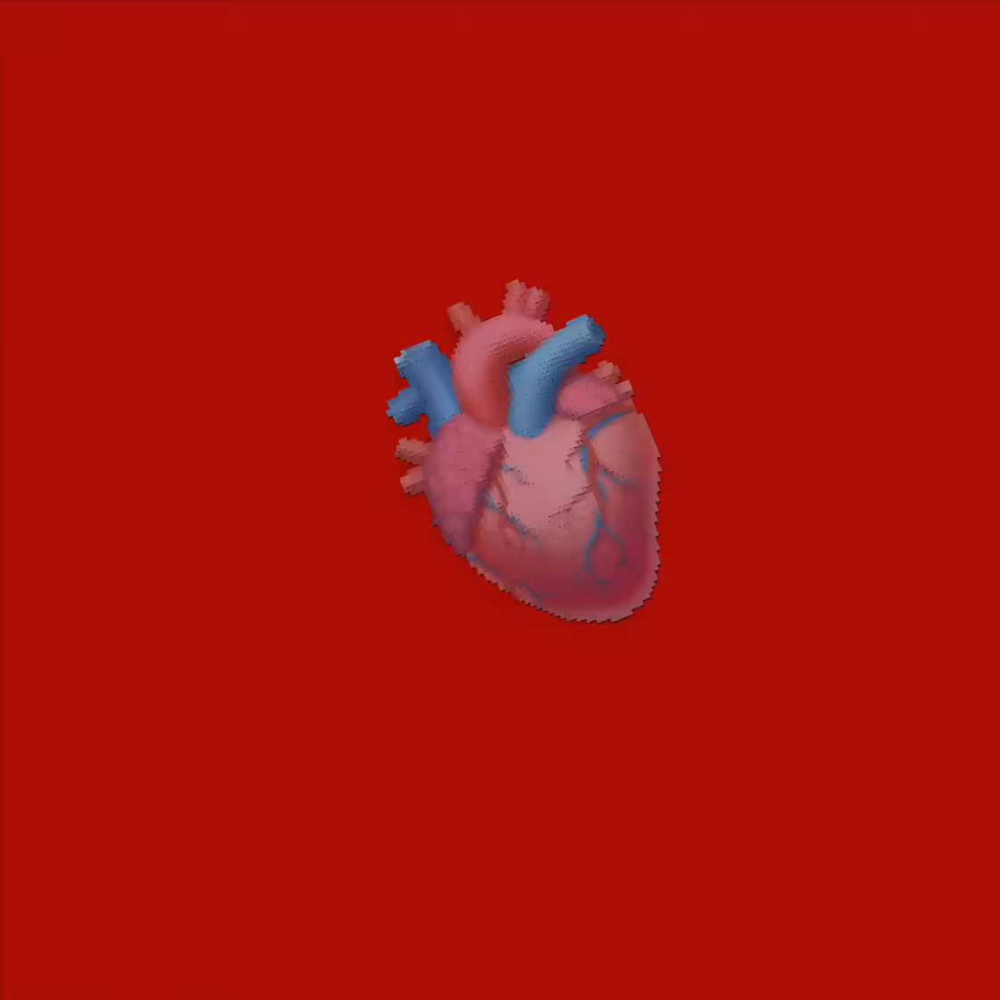 heart