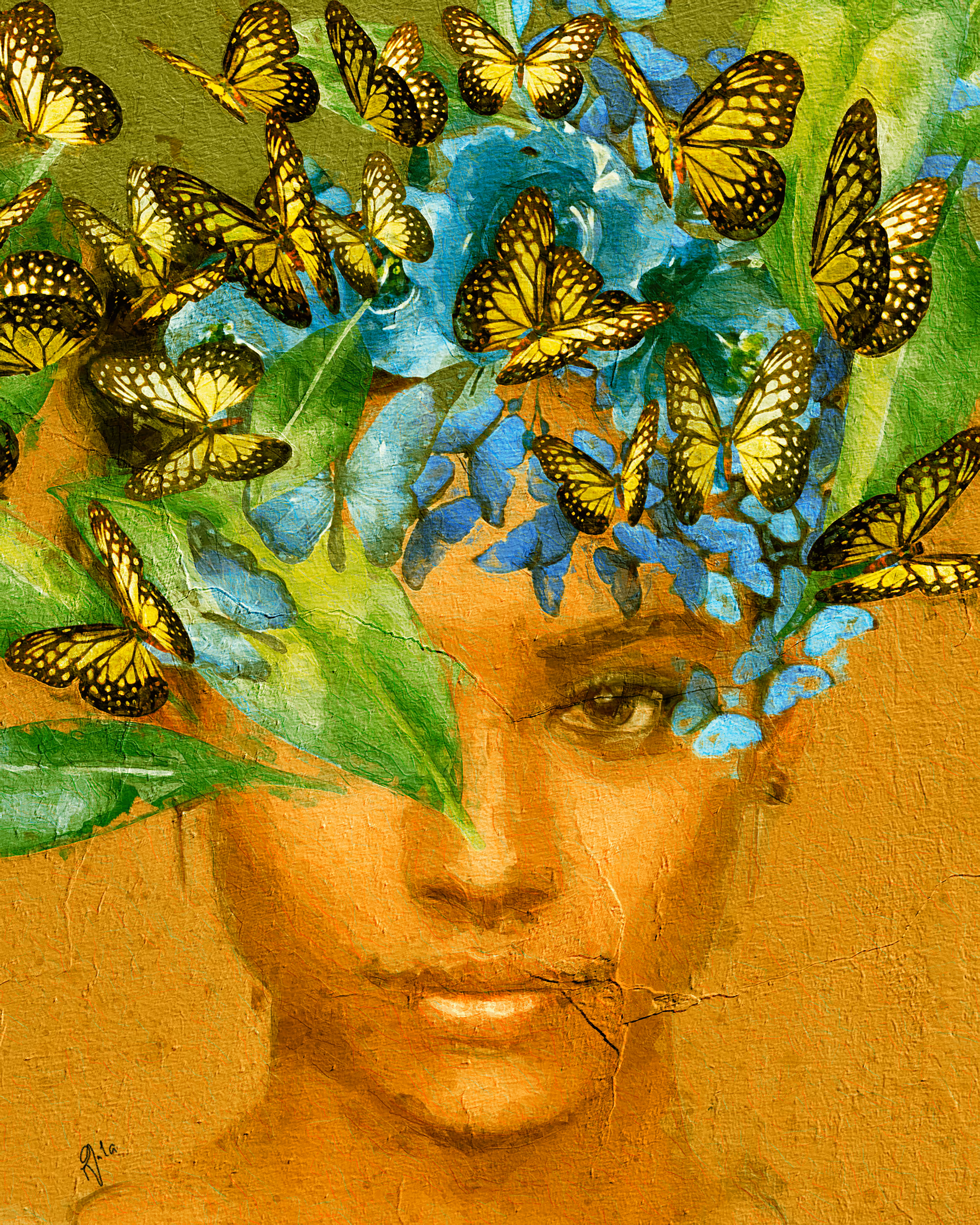 GALA MIRISSA GALLERY: / MARIPOSAS /