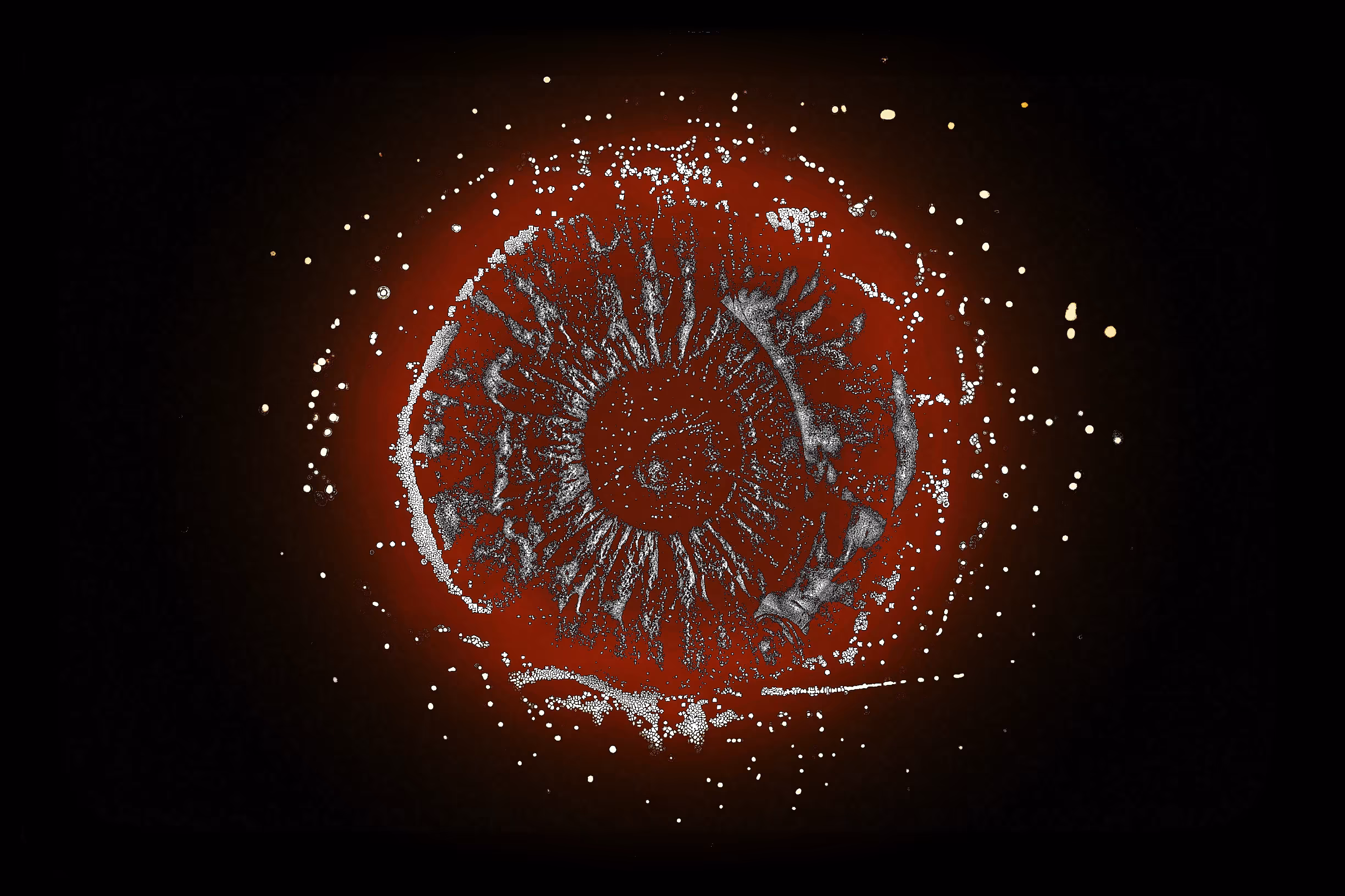 Eye #88