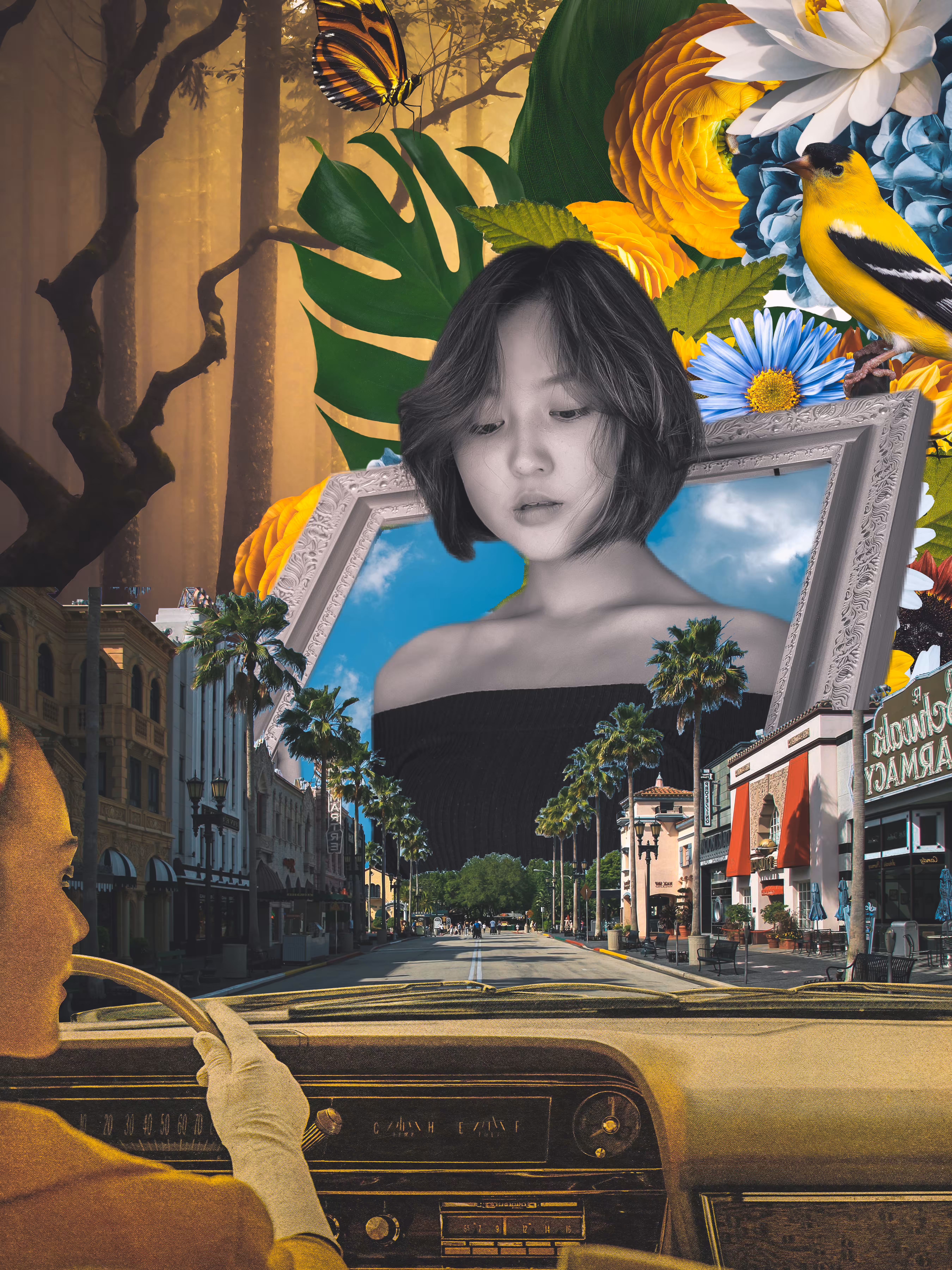 Down The Boulevard