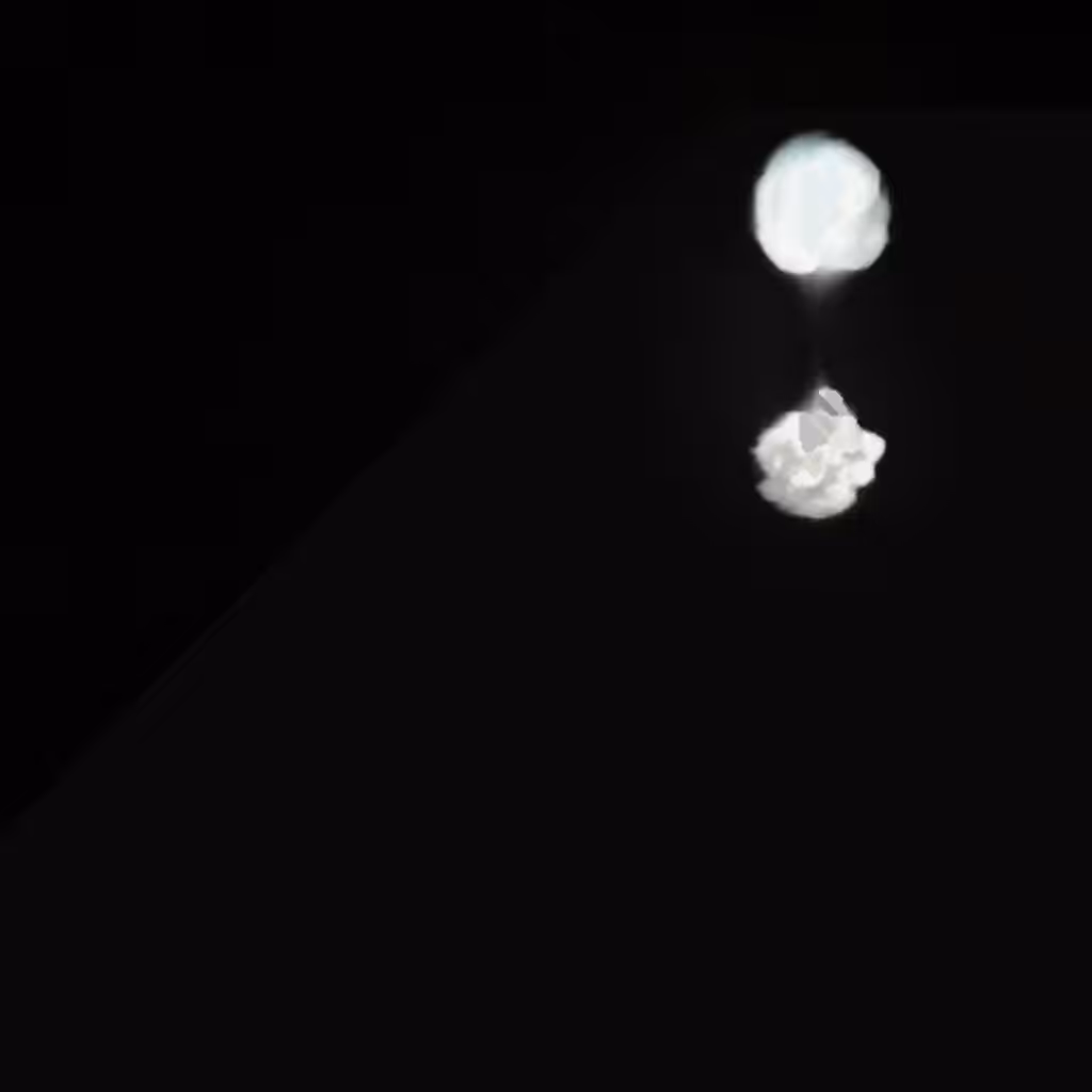 Moon . Flower