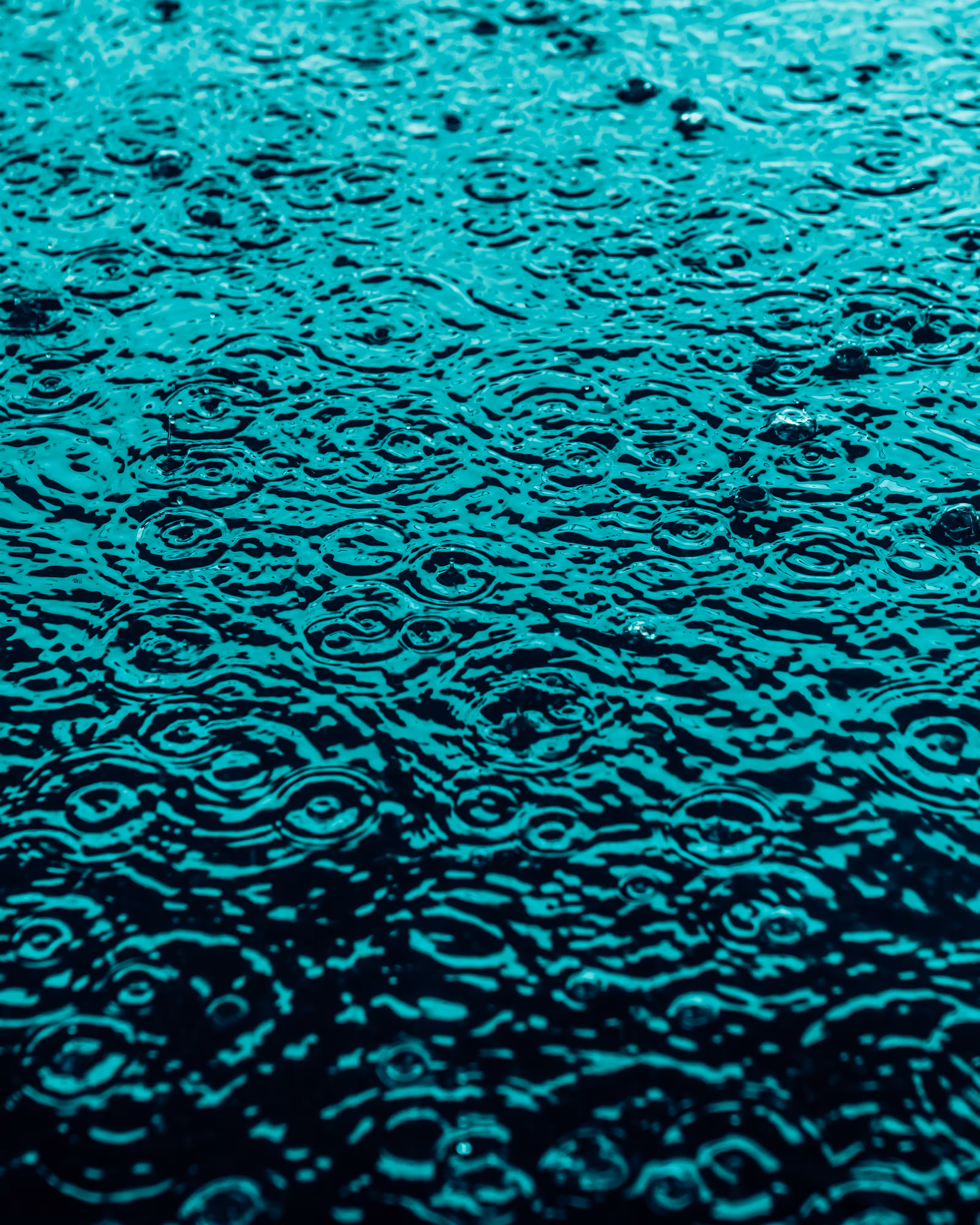 DRIP DROP: DRIP #236