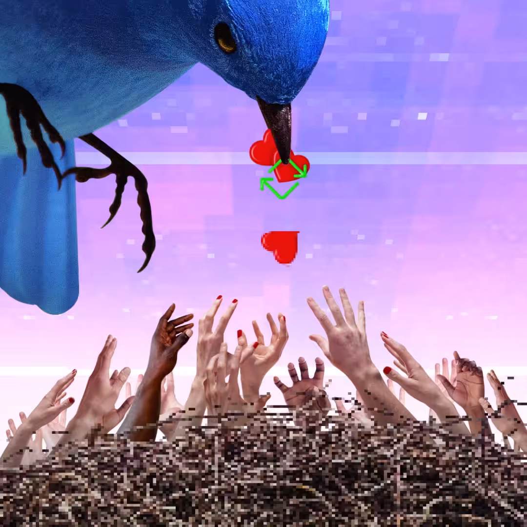 Simulation (Feed)
