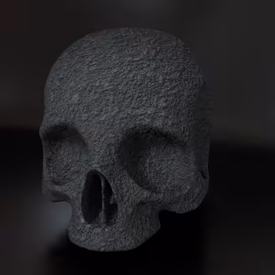 SkullZ #138