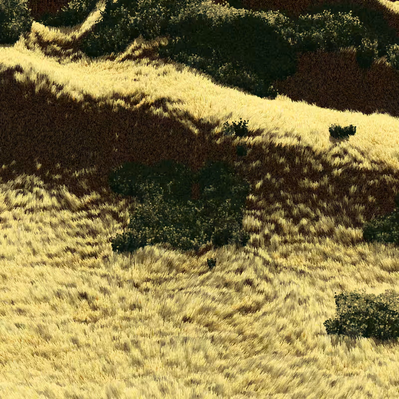 California Hills in Late Sun #151