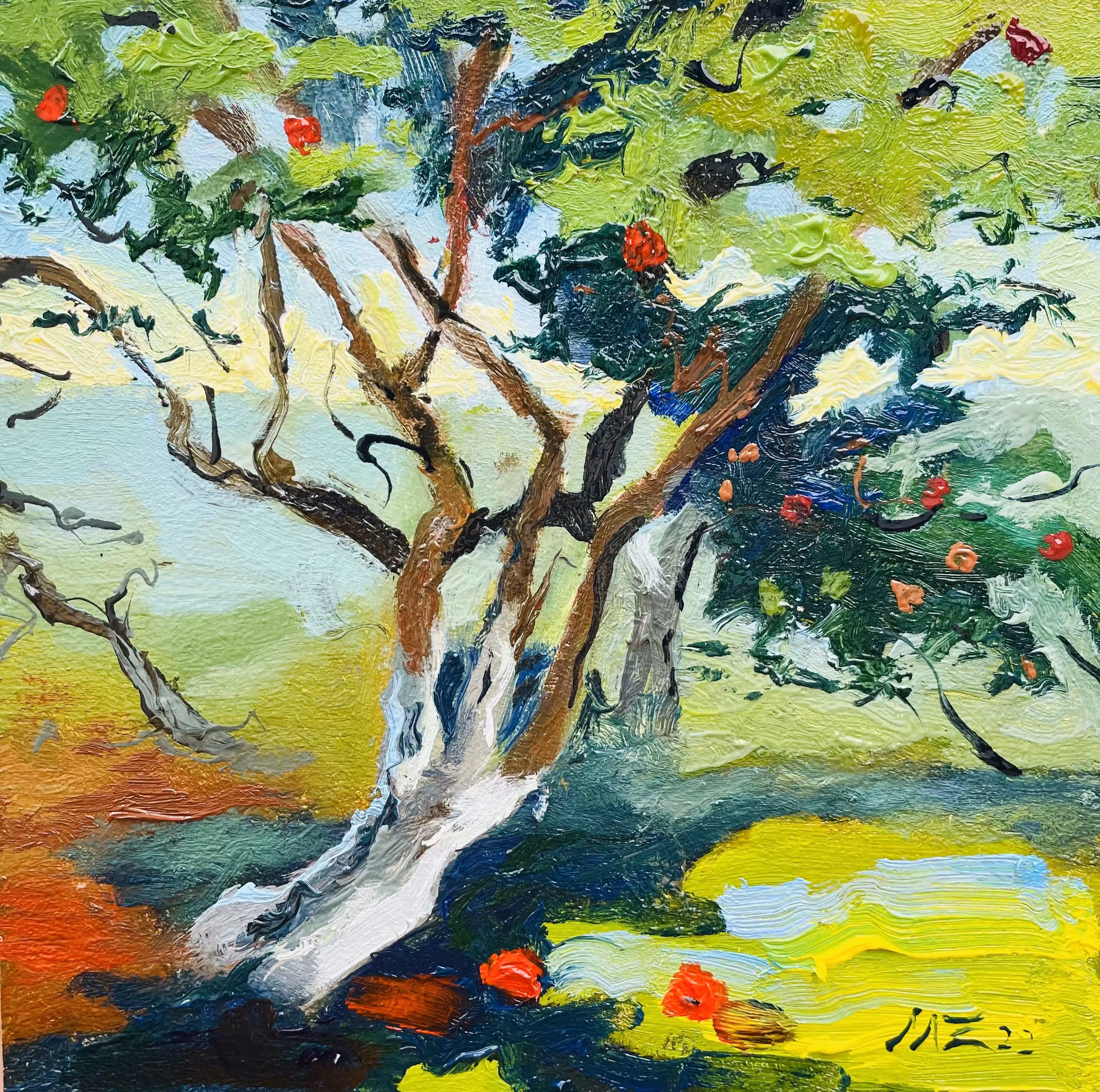 Оld apple orchard