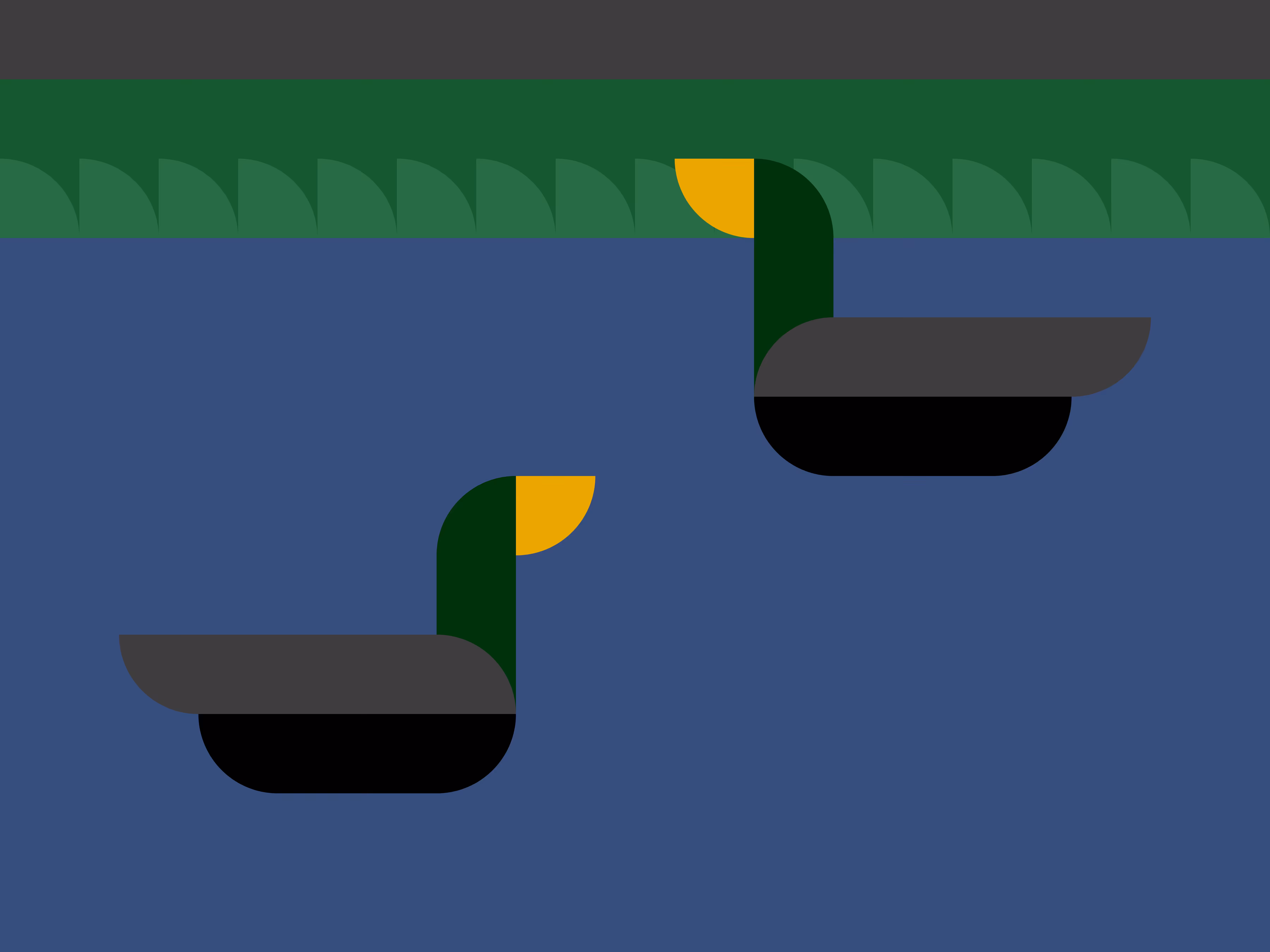 Ducks