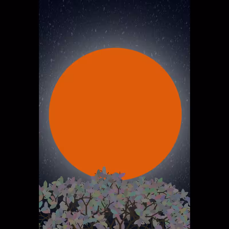 Moonlight Sonata #68