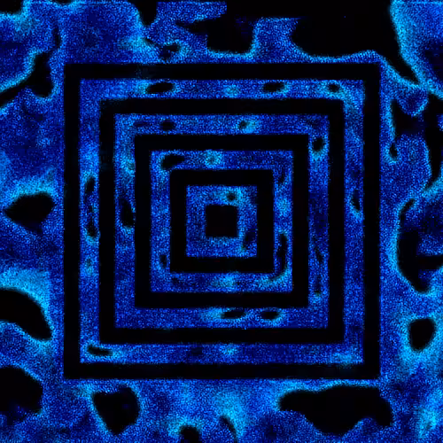 The Blobs in the Squares - Shape 262K/2K #11