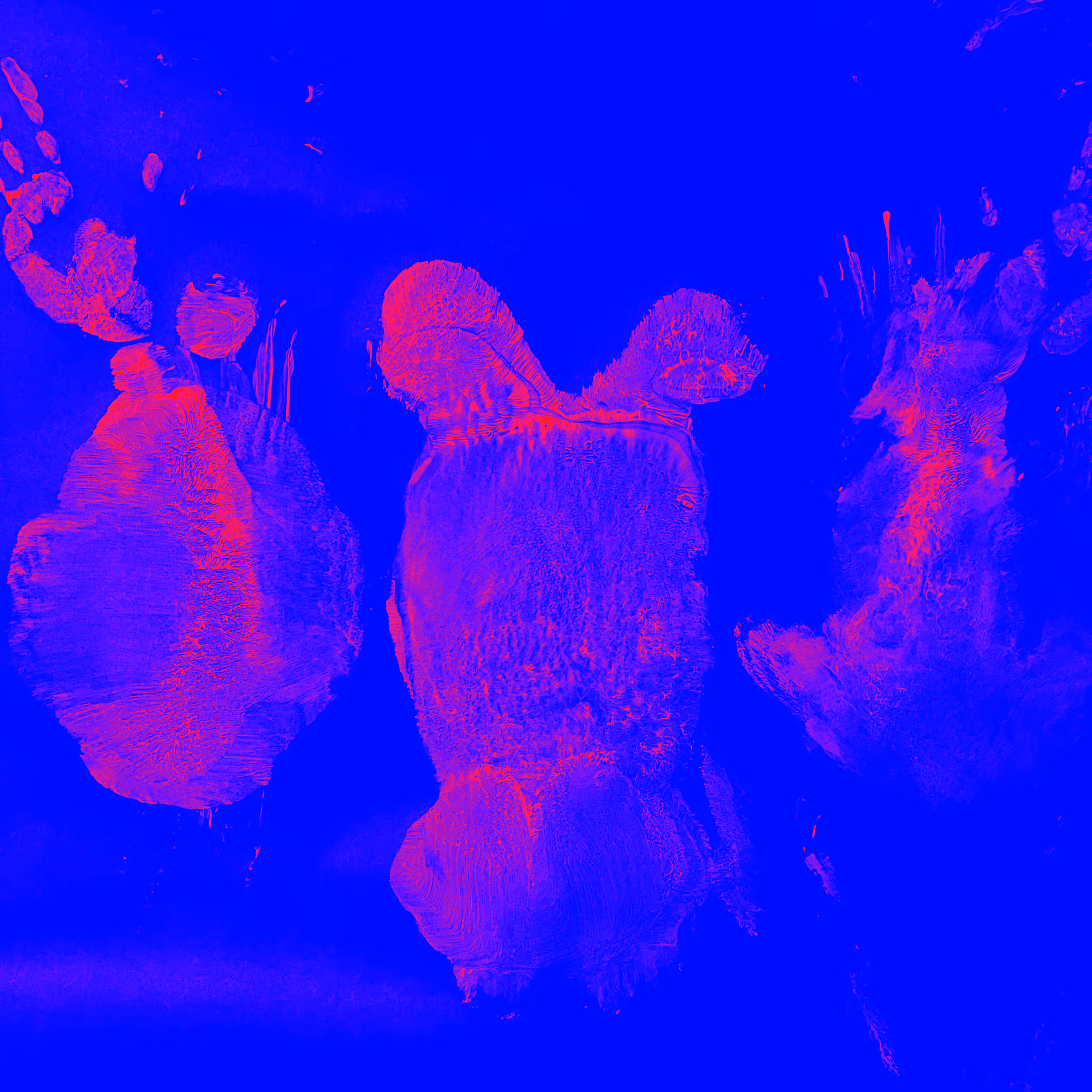 warhol belly dancing
