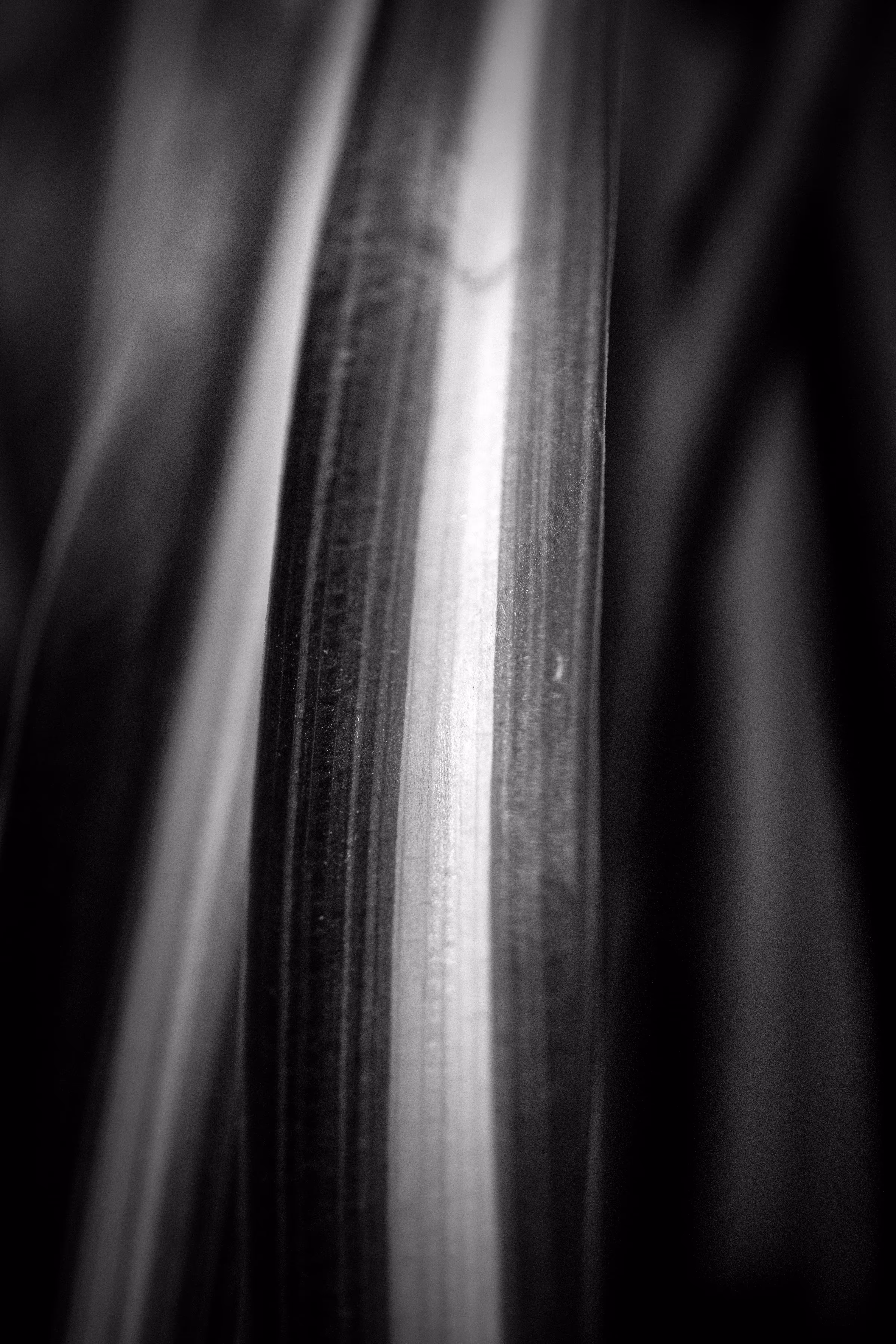 White Path