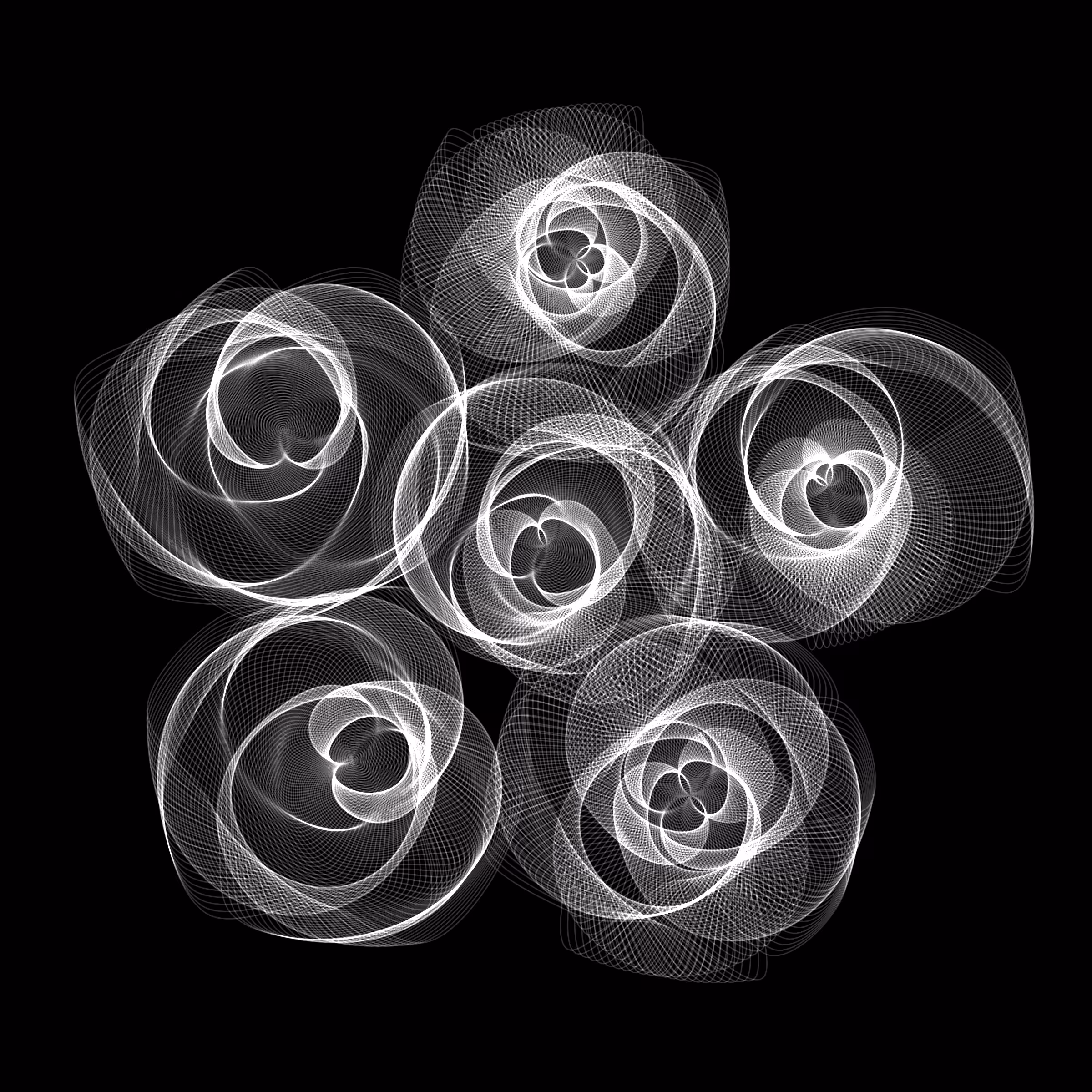 Flowers #2587