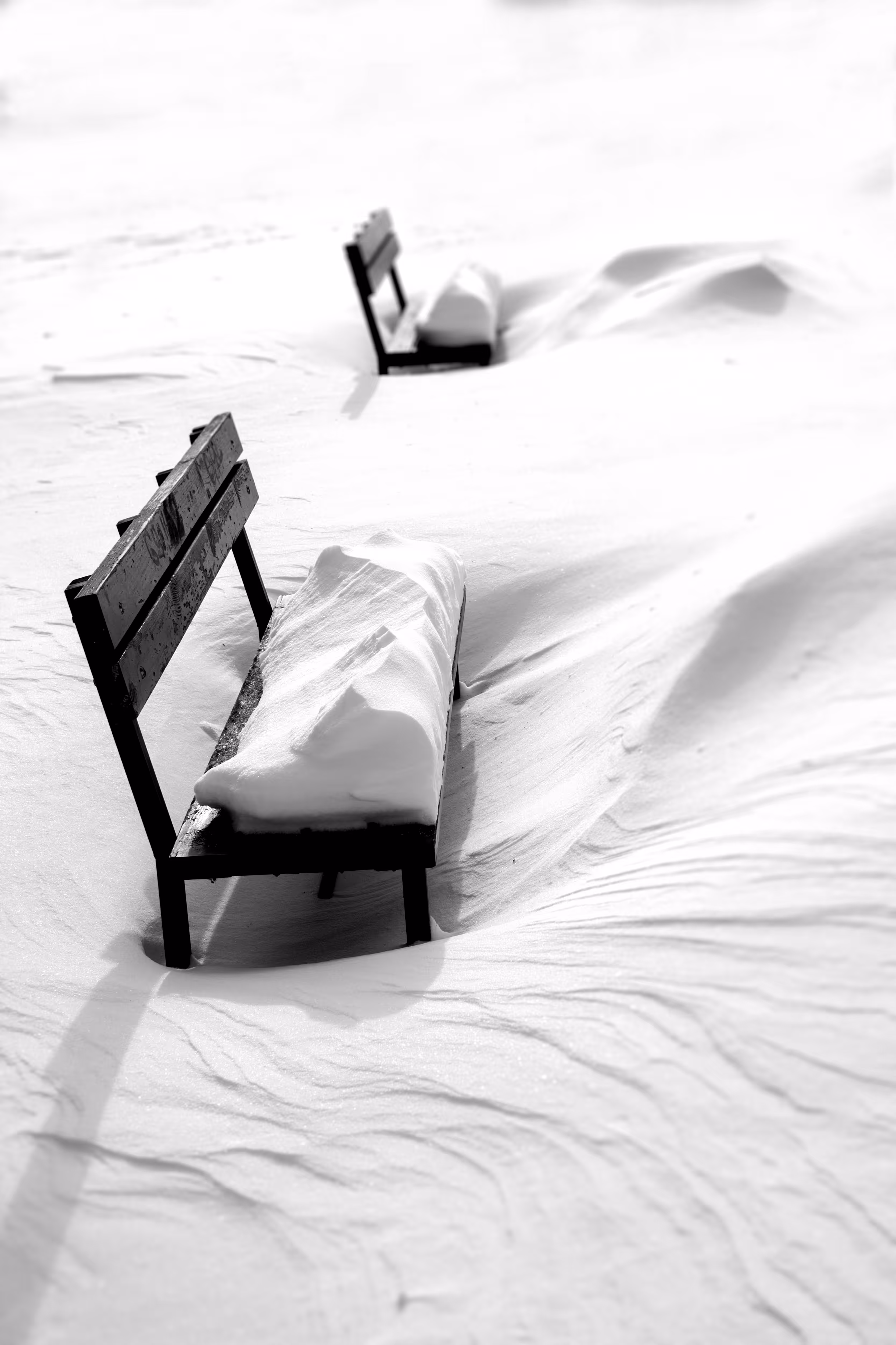 White Dunes of Silence