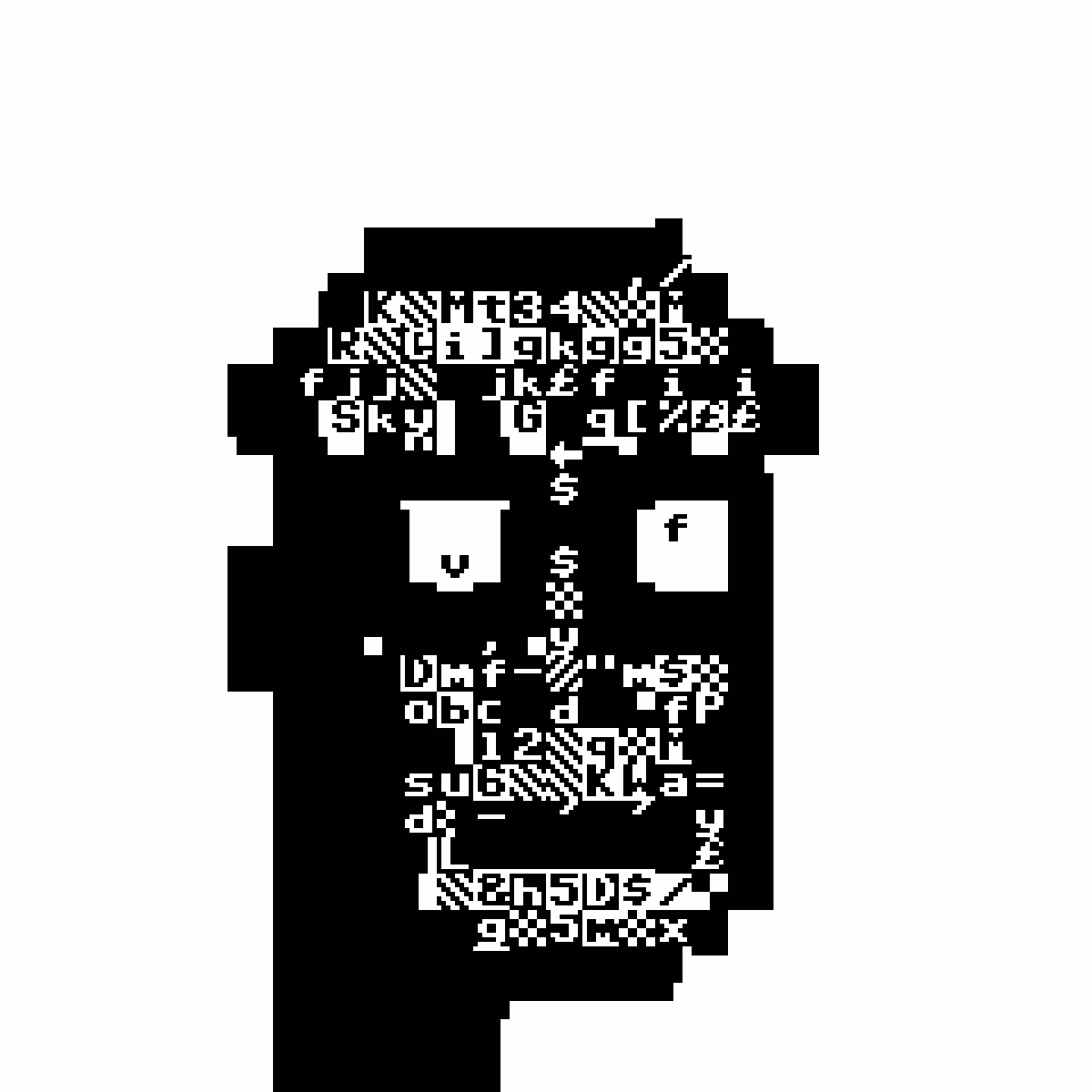 PET Punk 132