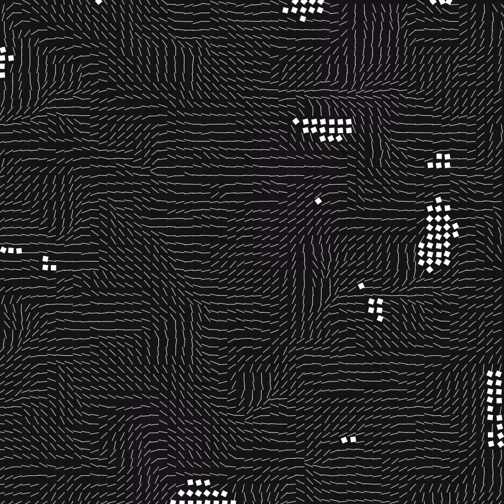 Geometric Fluidity #737