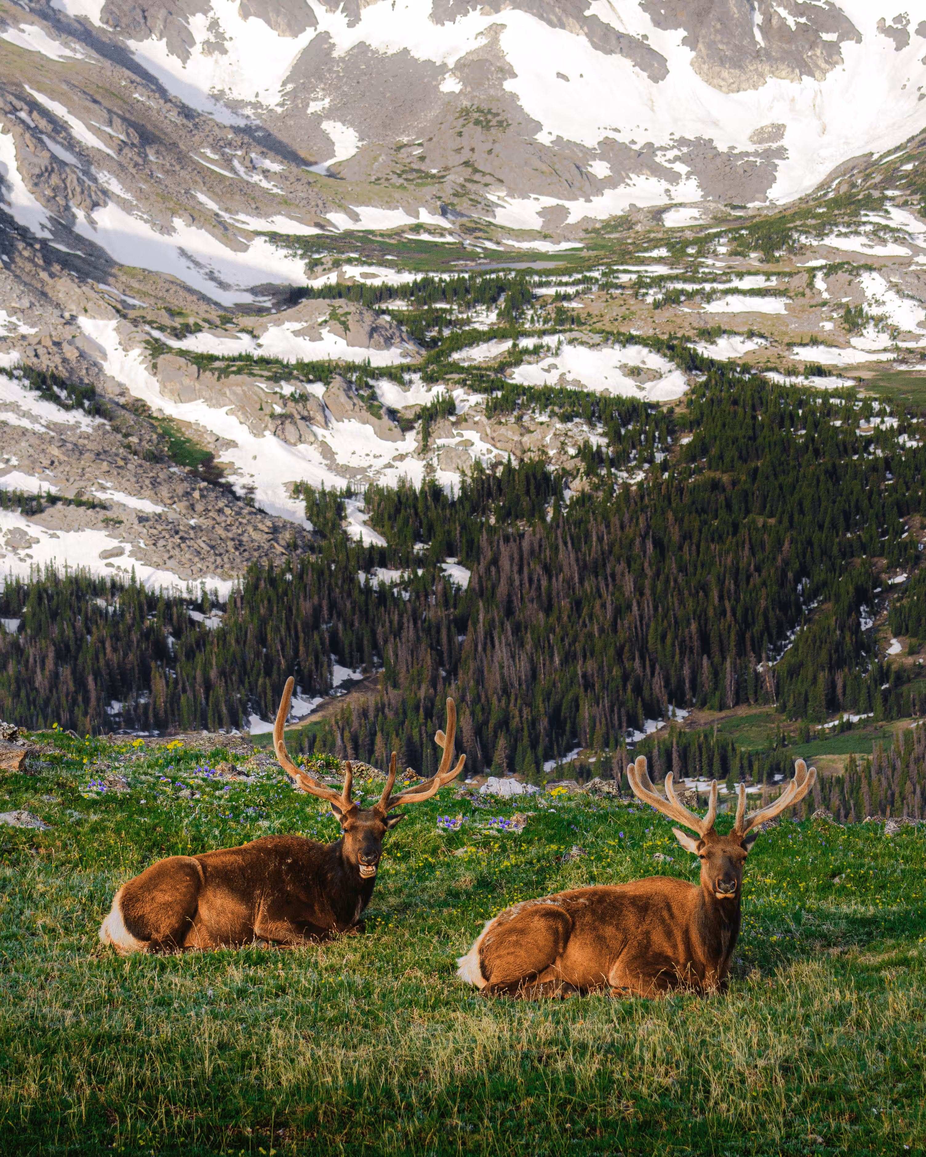 #21 Rocky Mountain Relaxing