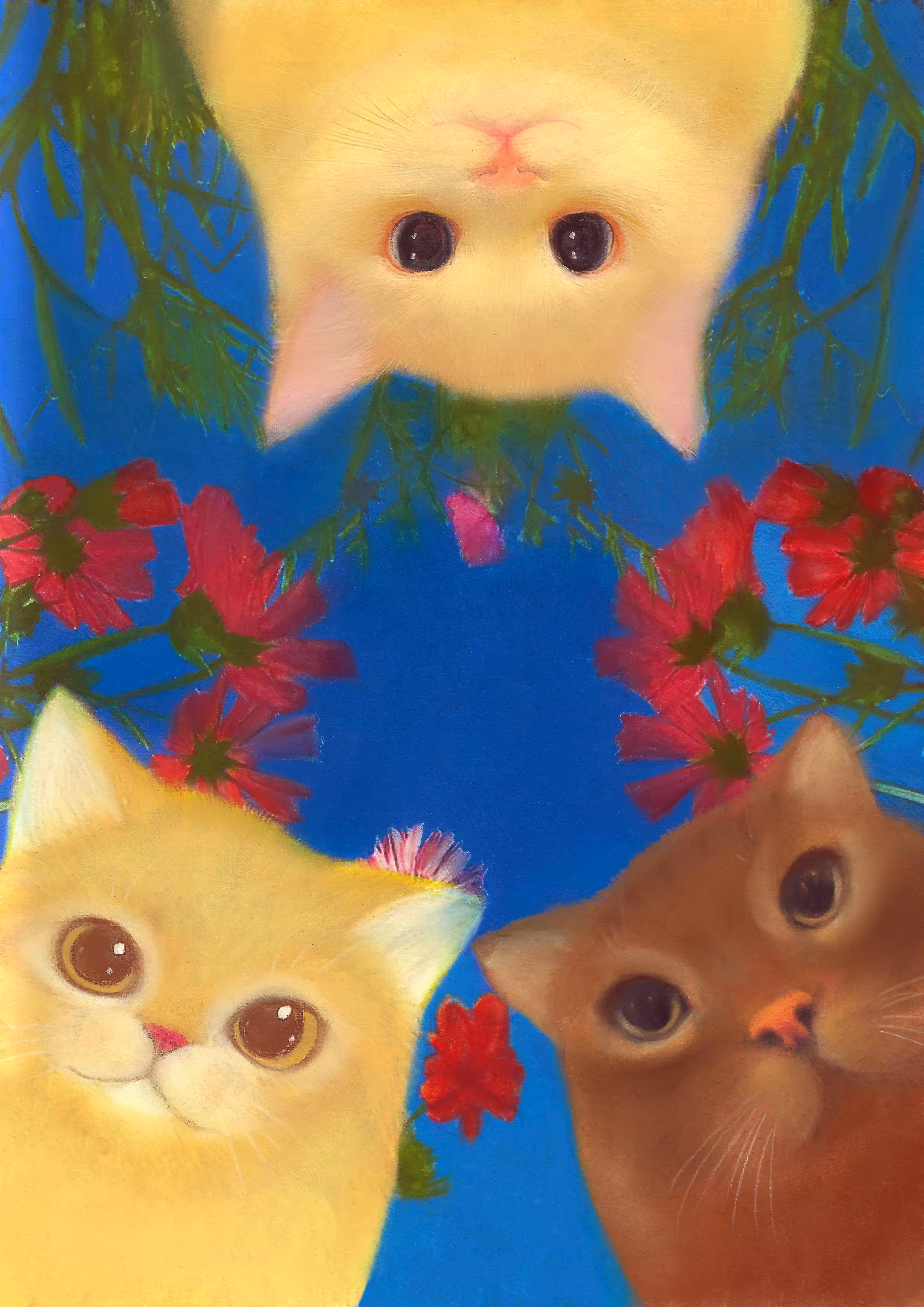 cats&another beautiful pets: Hi!